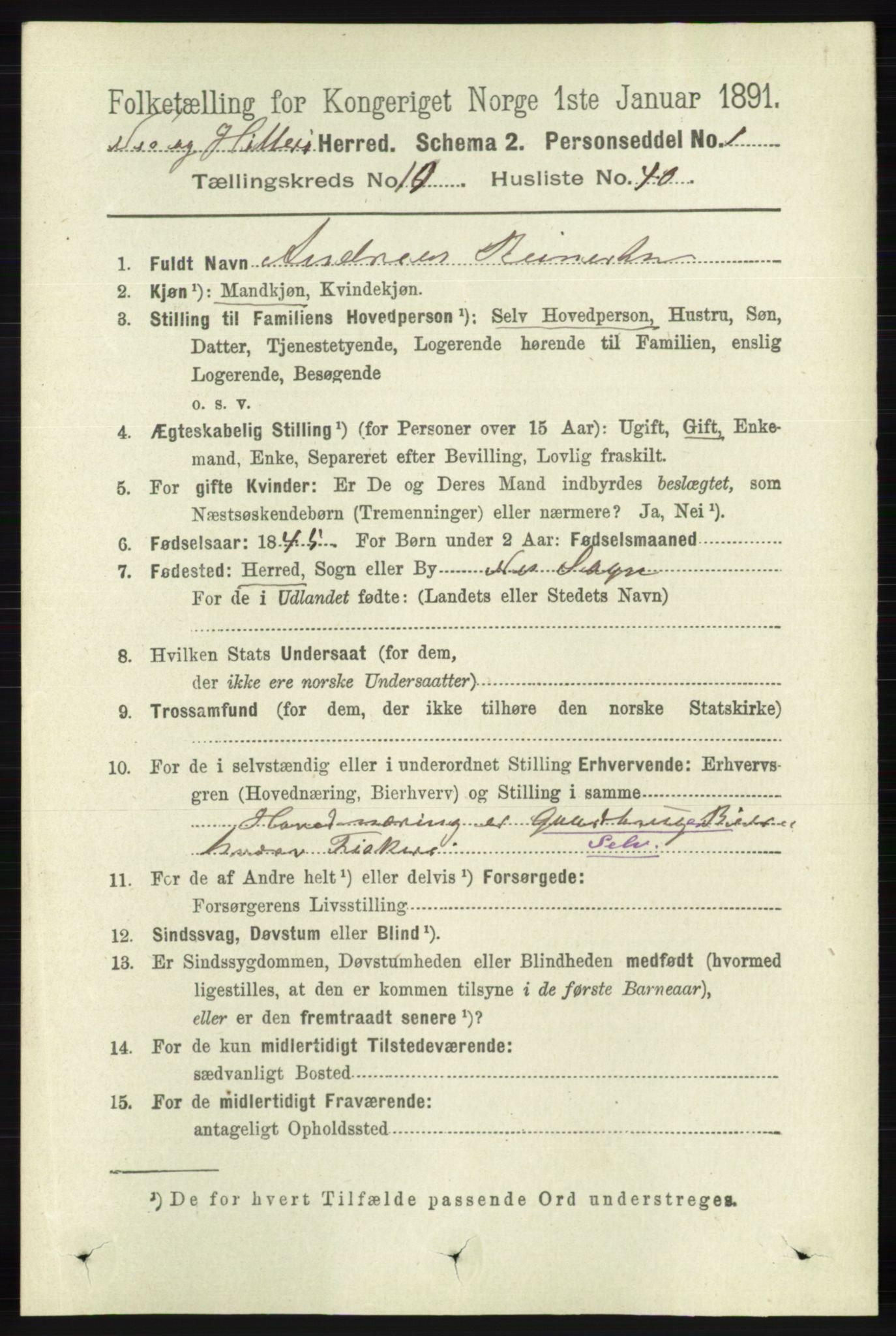 RA, 1891 census for 1043 Hidra og Nes, 1891, p. 4349