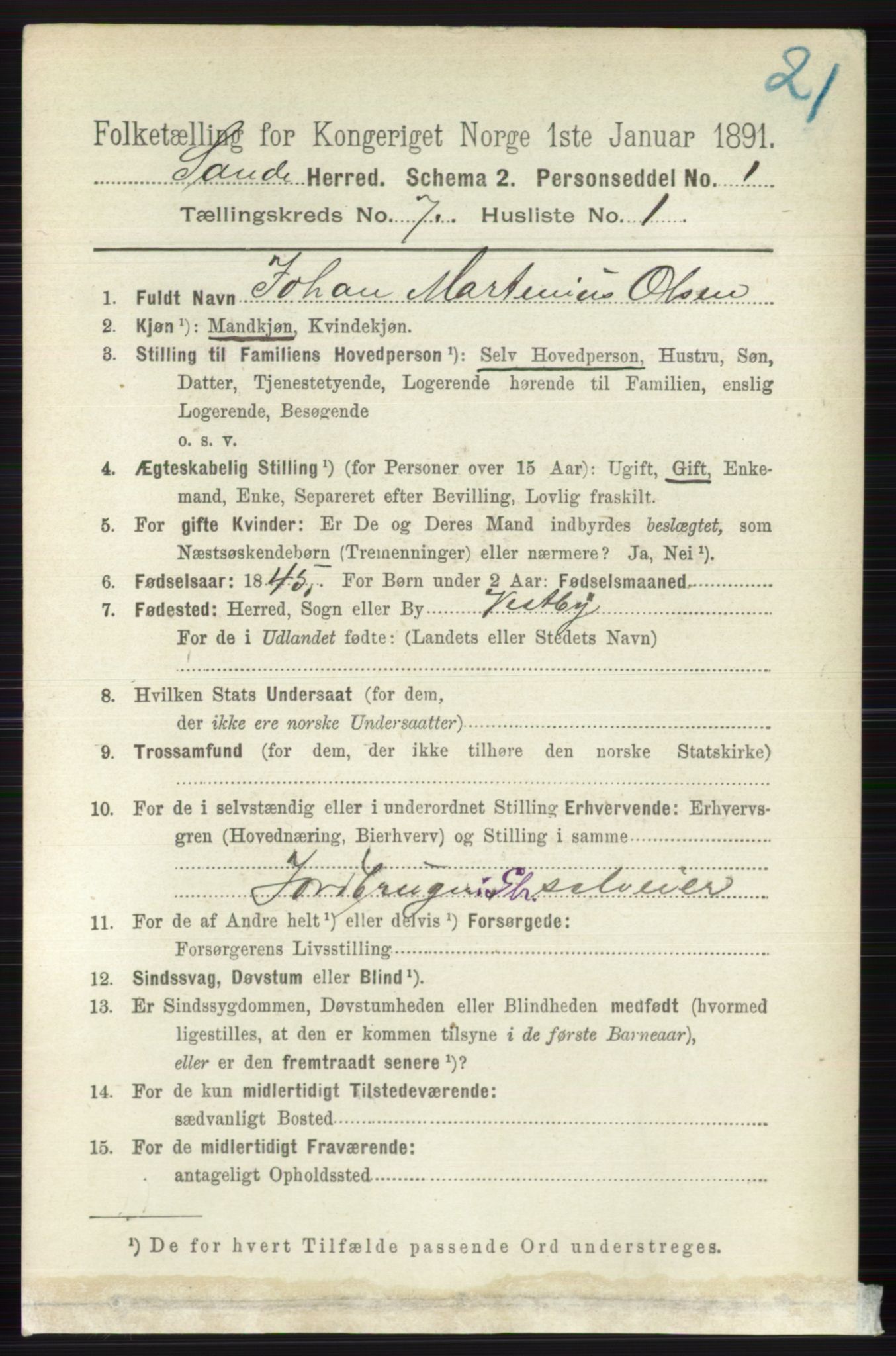 RA, 1891 census for 0713 Sande, 1891, p. 3138