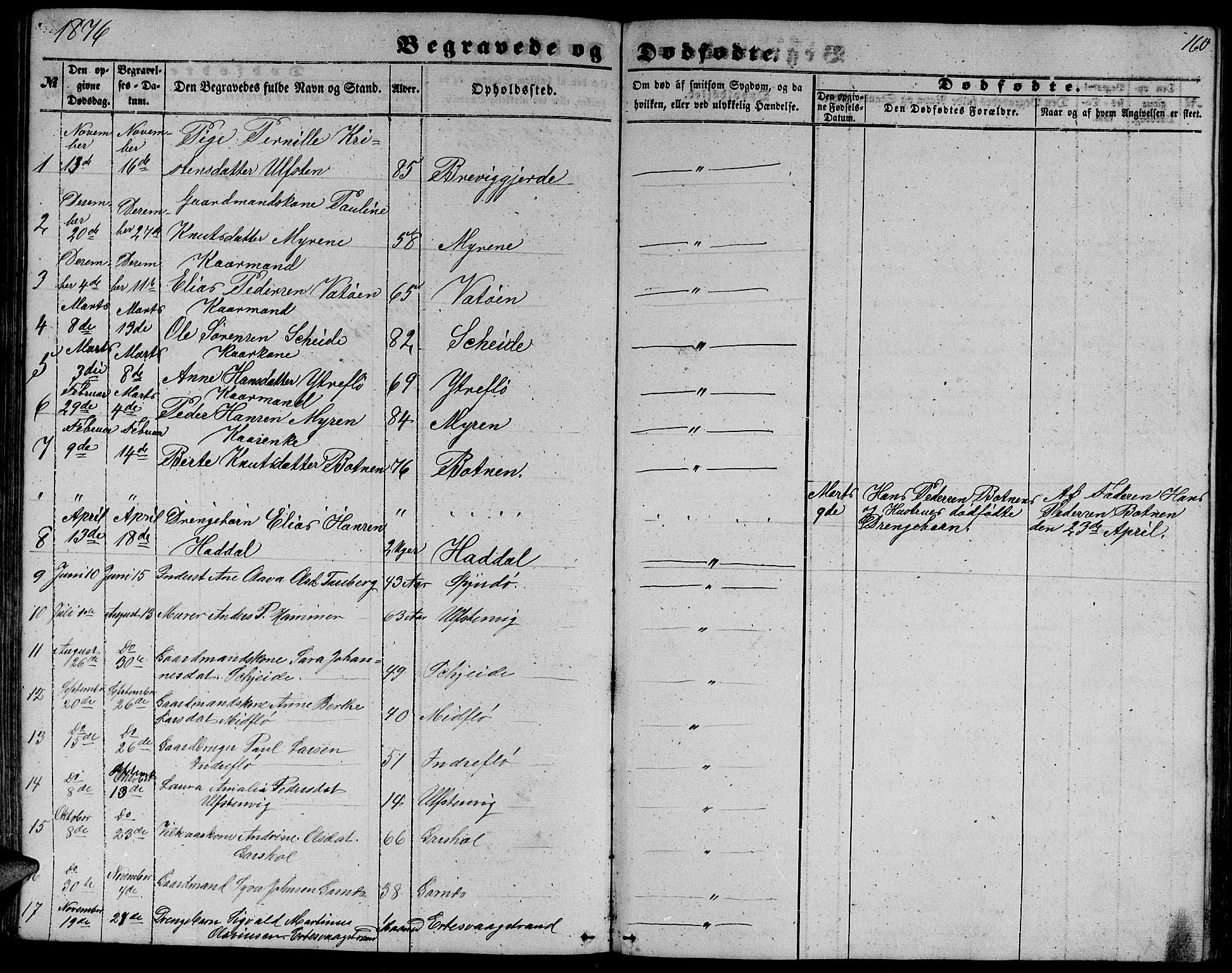 Ministerialprotokoller, klokkerbøker og fødselsregistre - Møre og Romsdal, AV/SAT-A-1454/509/L0111: Parish register (copy) no. 509C01, 1854-1882, p. 160