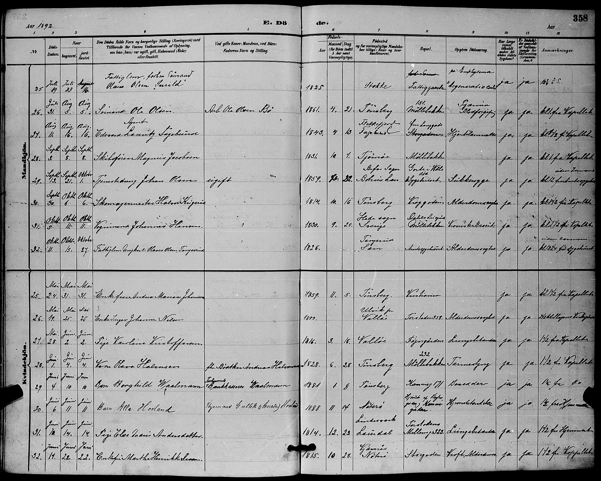 Tønsberg kirkebøker, AV/SAKO-A-330/G/Ga/L0006: Parish register (copy) no. 6, 1885-1895, p. 358