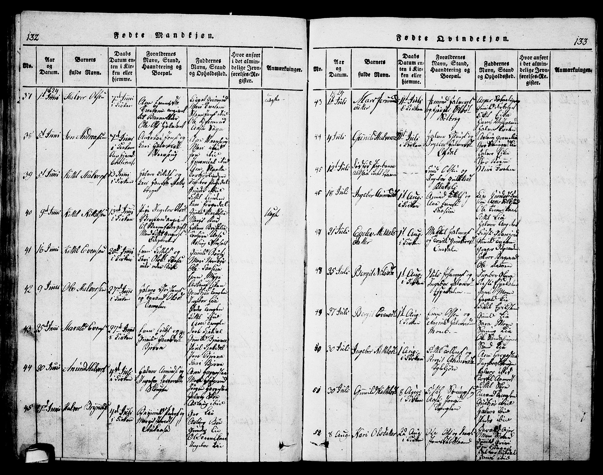 Bø kirkebøker, SAKO/A-257/G/Ga/L0001: Parish register (copy) no. 1, 1815-1831, p. 132-133