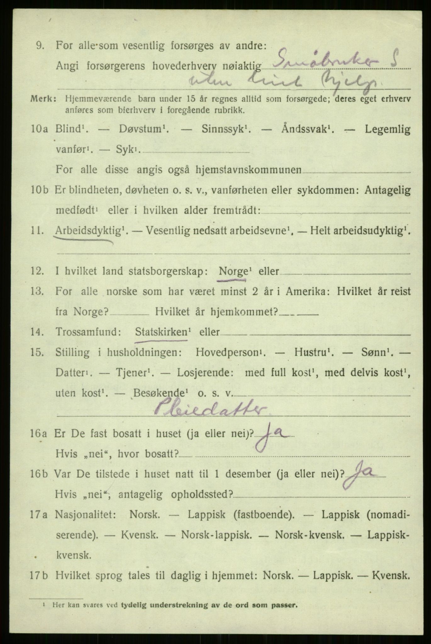 SATØ, 1920 census for Trondenes, 1920, p. 12242