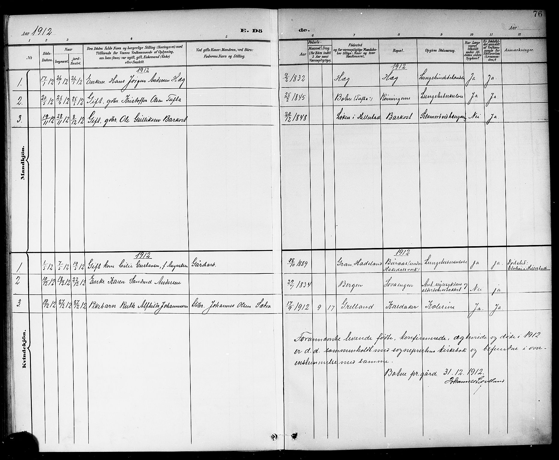 Botne kirkebøker, AV/SAKO-A-340/G/Gb/L0004: Parish register (copy) no. II 3, 1899-1917, p. 76