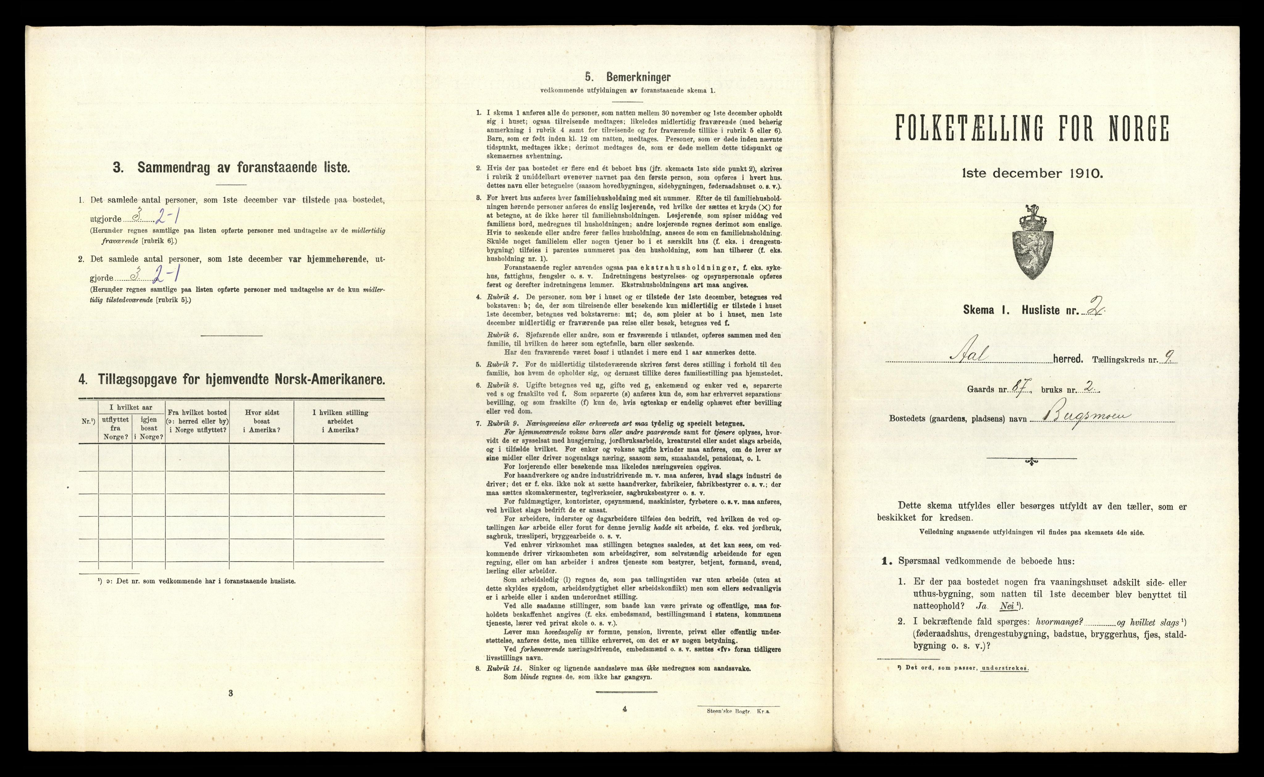 RA, 1910 census for Ål, 1910, p. 843