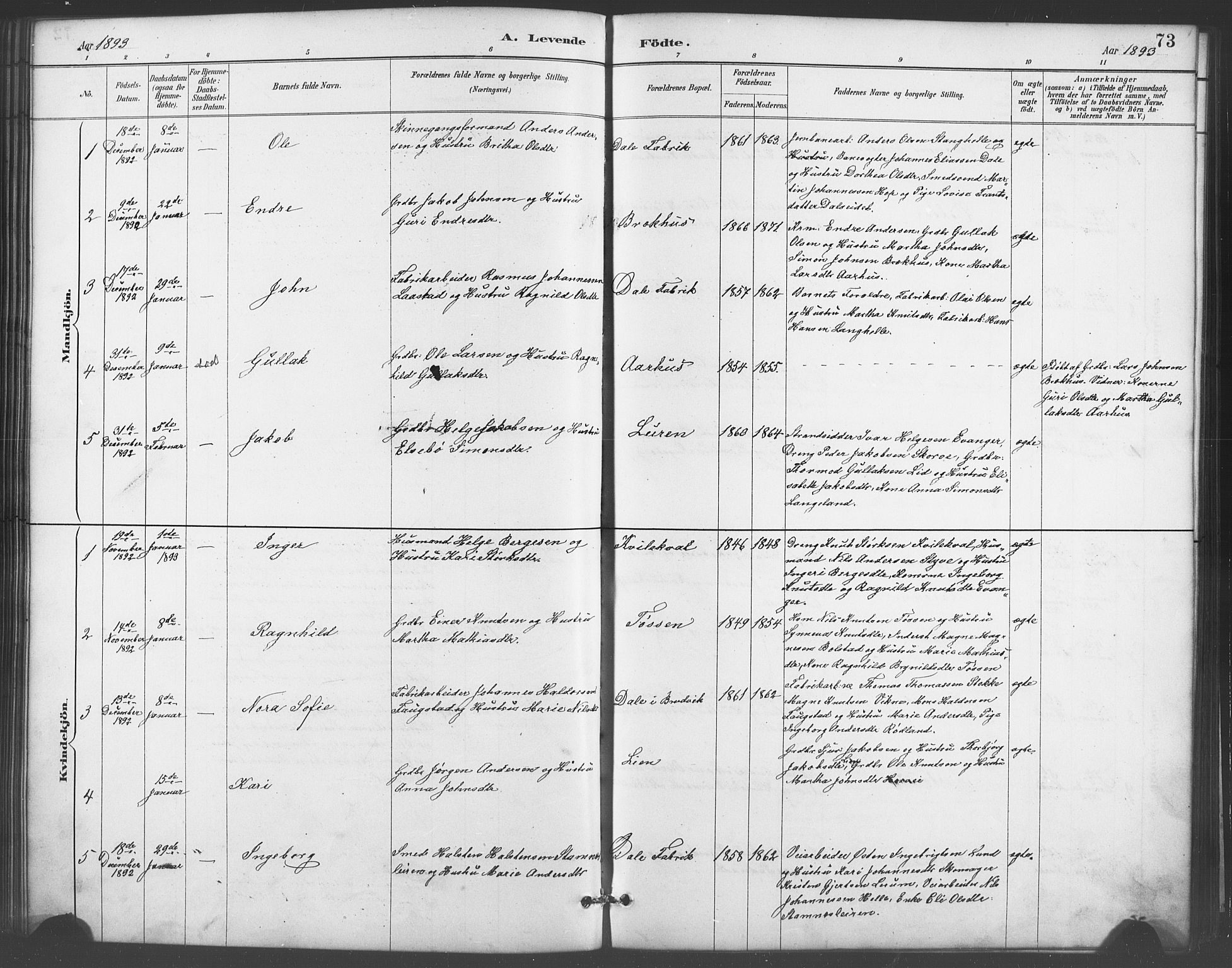 Evanger sokneprestembete, AV/SAB-A-99924: Parish register (copy) no. A 4, 1887-1897, p. 73