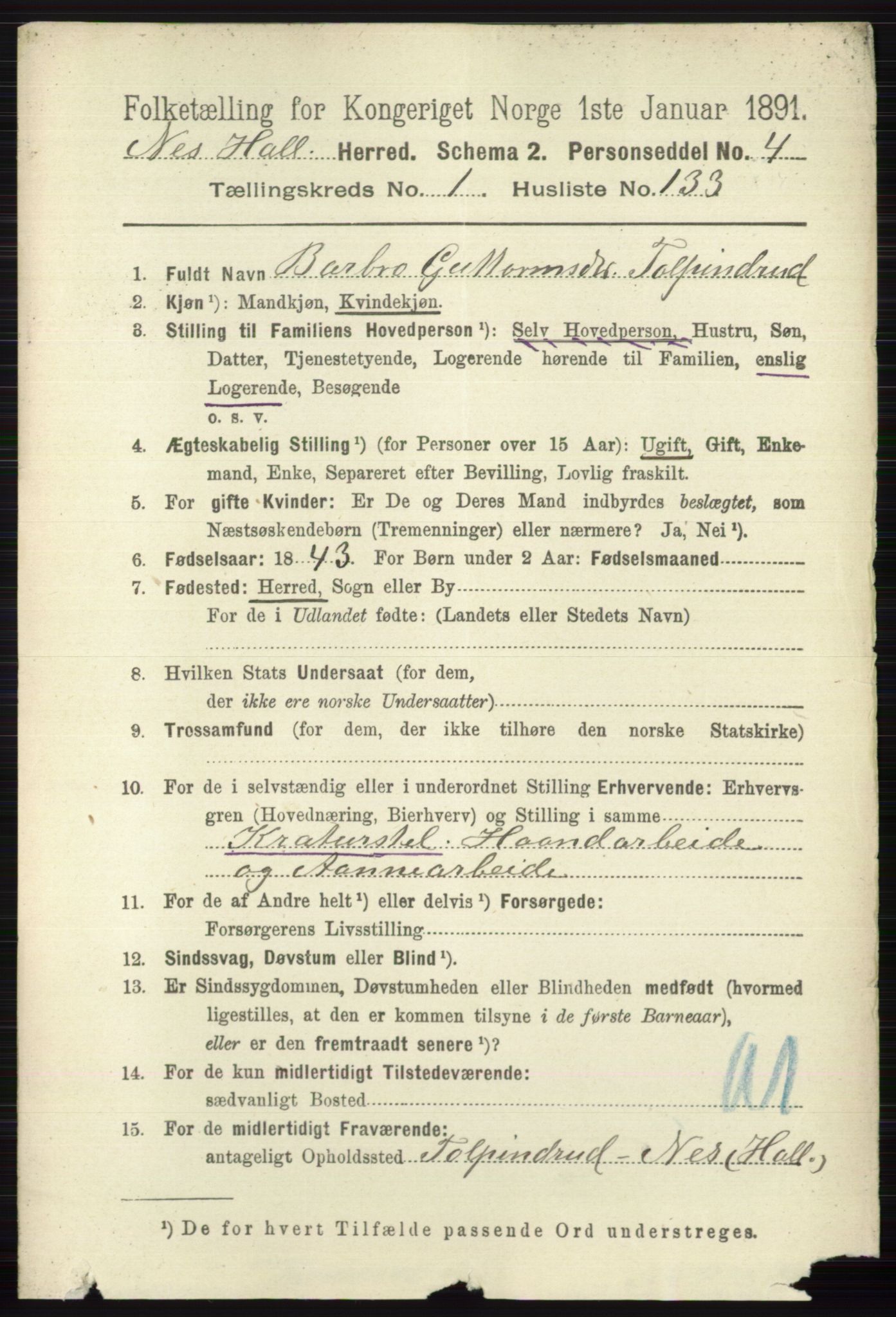 RA, 1891 census for 0616 Nes, 1891, p. 905