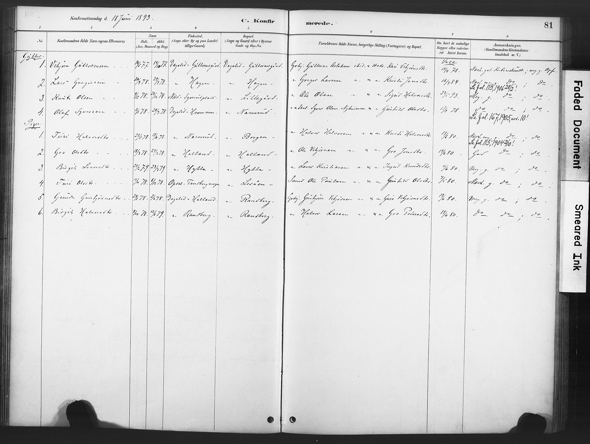 Nore kirkebøker, AV/SAKO-A-238/F/Fd/L0001: Parish register (official) no. IV 1, 1878-1918, p. 81