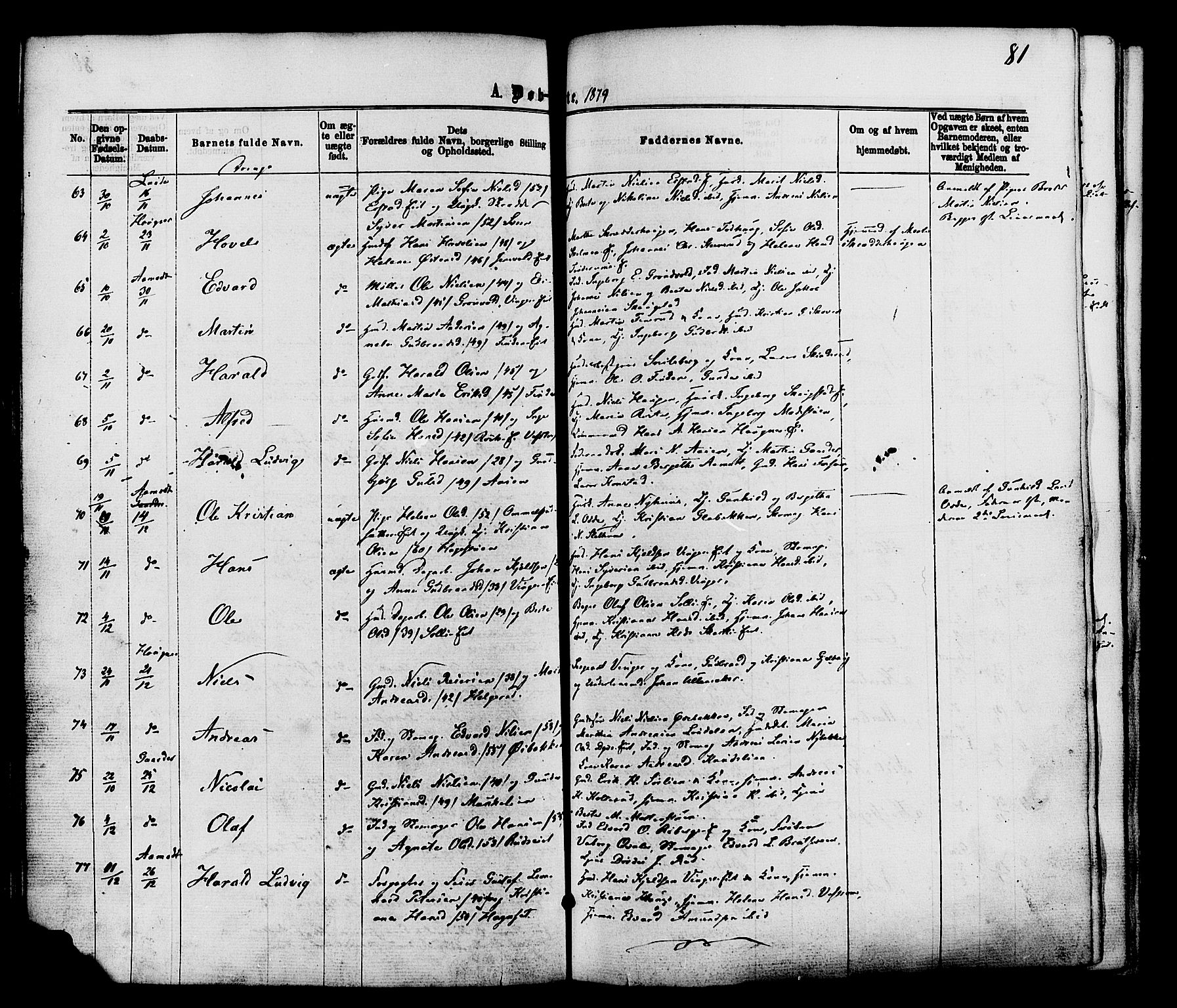 Nordre Land prestekontor, AV/SAH-PREST-124/H/Ha/Haa/L0002: Parish register (official) no. 2, 1872-1881, p. 81