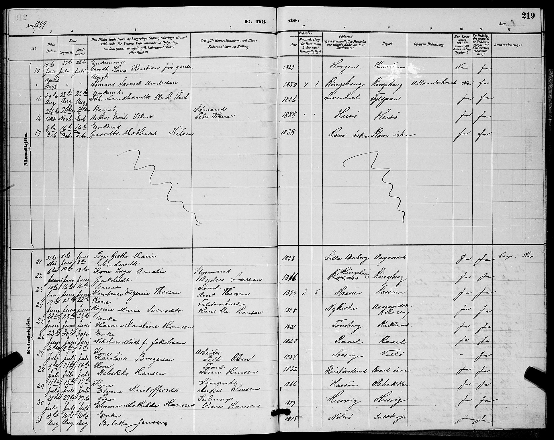 Sem kirkebøker, AV/SAKO-A-5/G/Gb/L0002: Parish register (copy) no. II 2, 1886-1899, p. 219