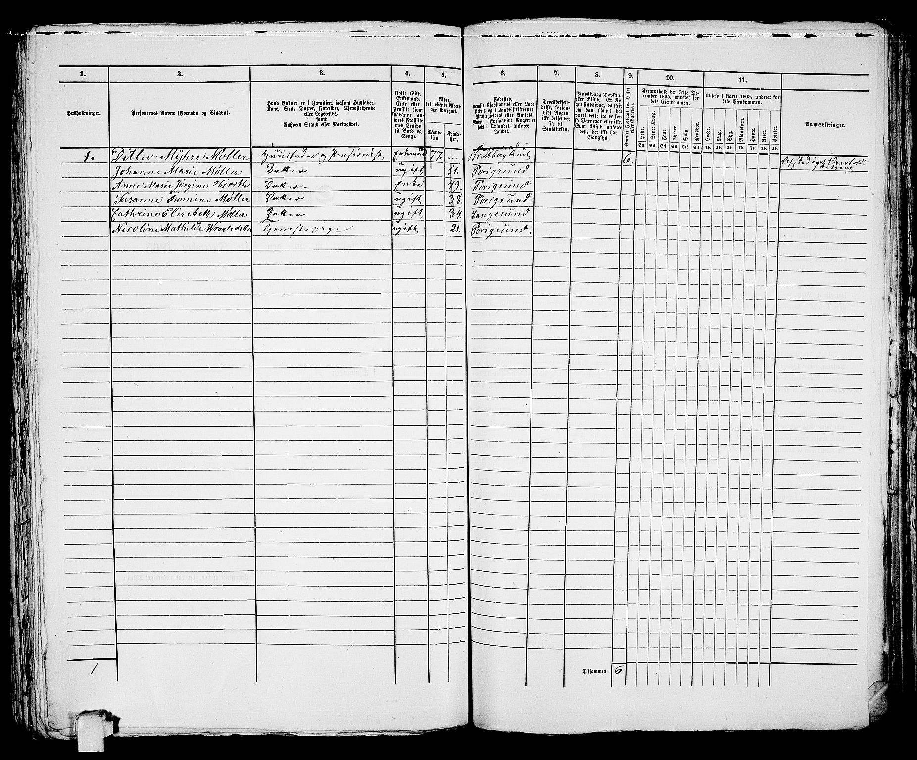 RA, 1865 census for Porsgrunn, 1865, p. 347