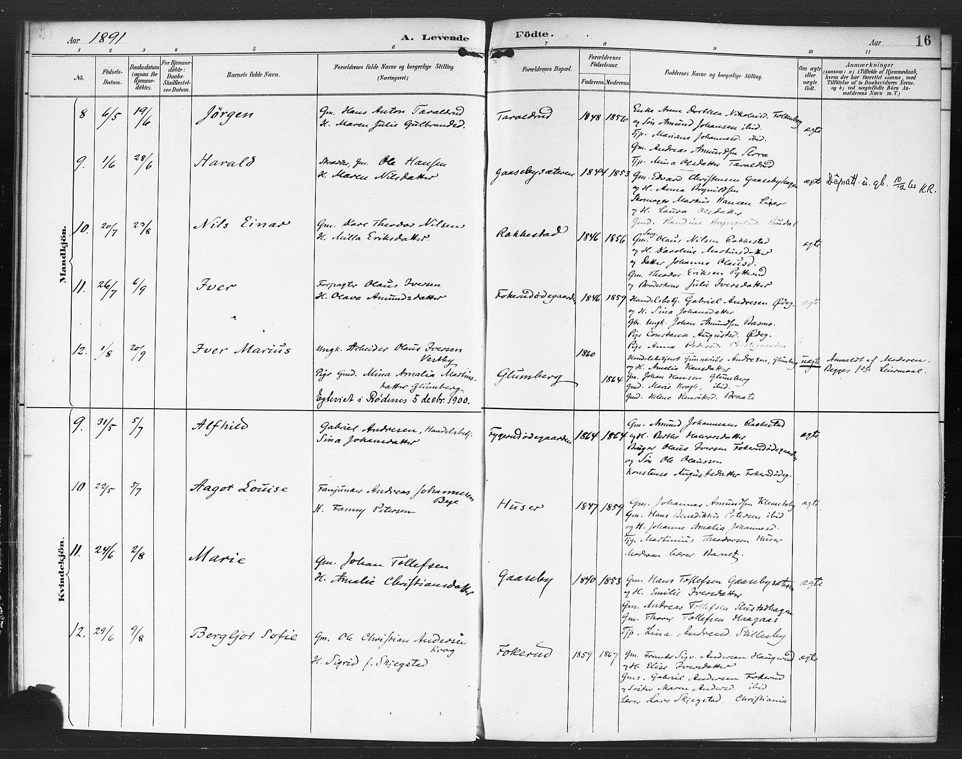 Rødenes prestekontor Kirkebøker, AV/SAO-A-2005/F/Fa/L0010: Parish register (official) no. I 10, 1890-1900, p. 16