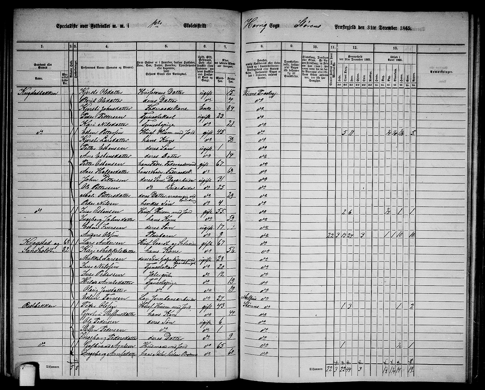 RA, 1865 census for Støren, 1865, p. 127