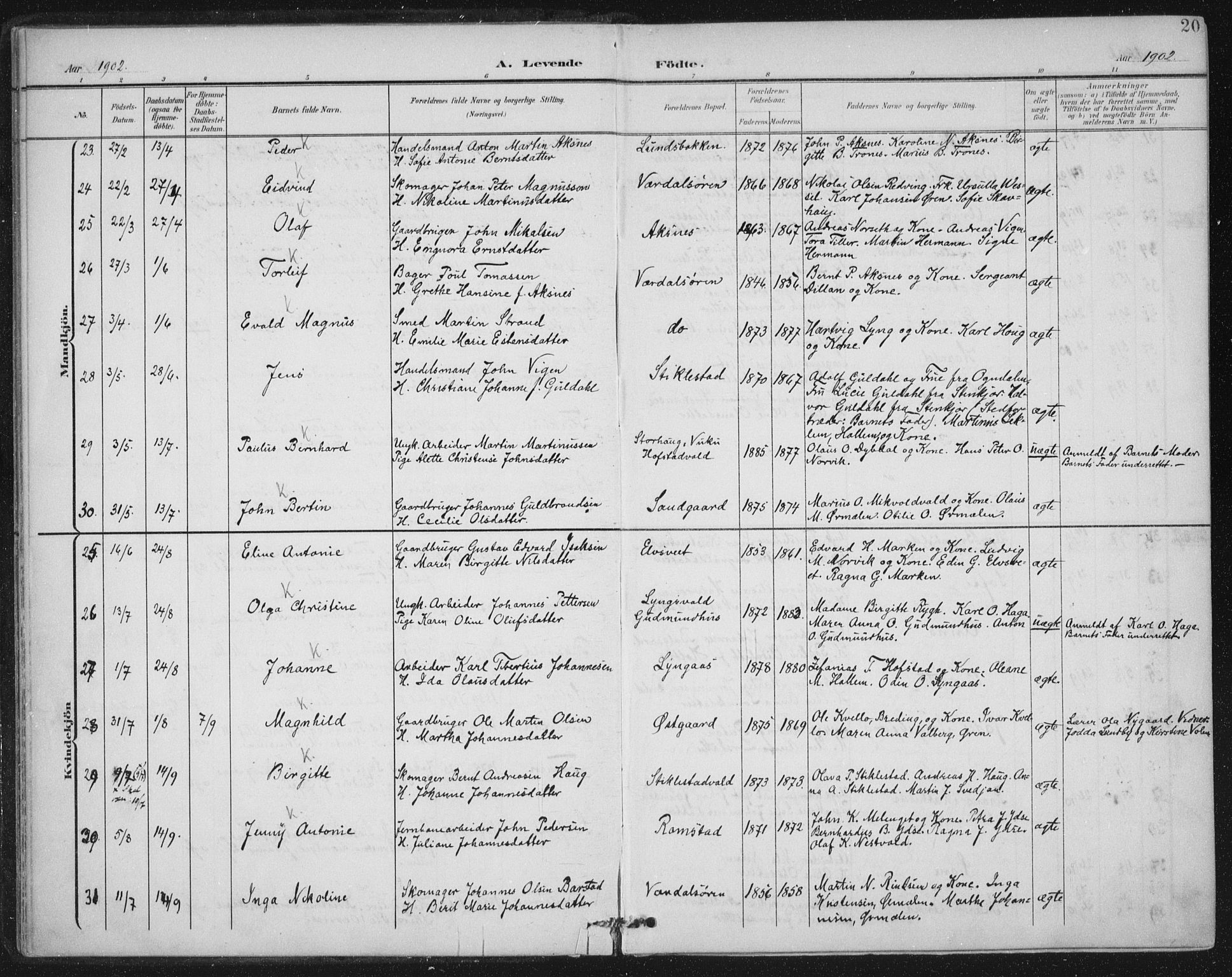 Ministerialprotokoller, klokkerbøker og fødselsregistre - Nord-Trøndelag, AV/SAT-A-1458/723/L0246: Parish register (official) no. 723A15, 1900-1917, p. 20