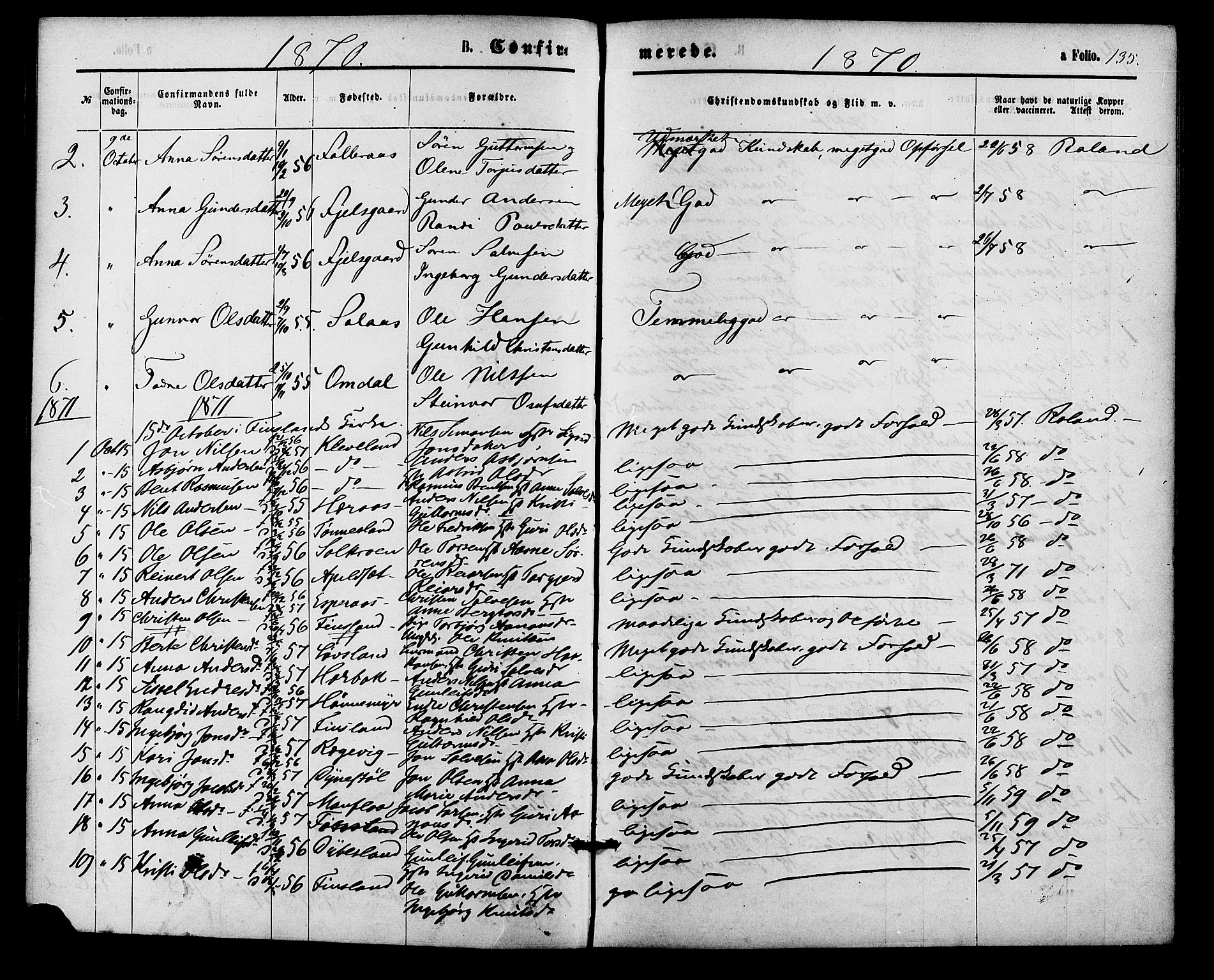 Bjelland sokneprestkontor, SAK/1111-0005/F/Fa/Fab/L0003: Parish register (official) no. A 3, 1870-1887, p. 135