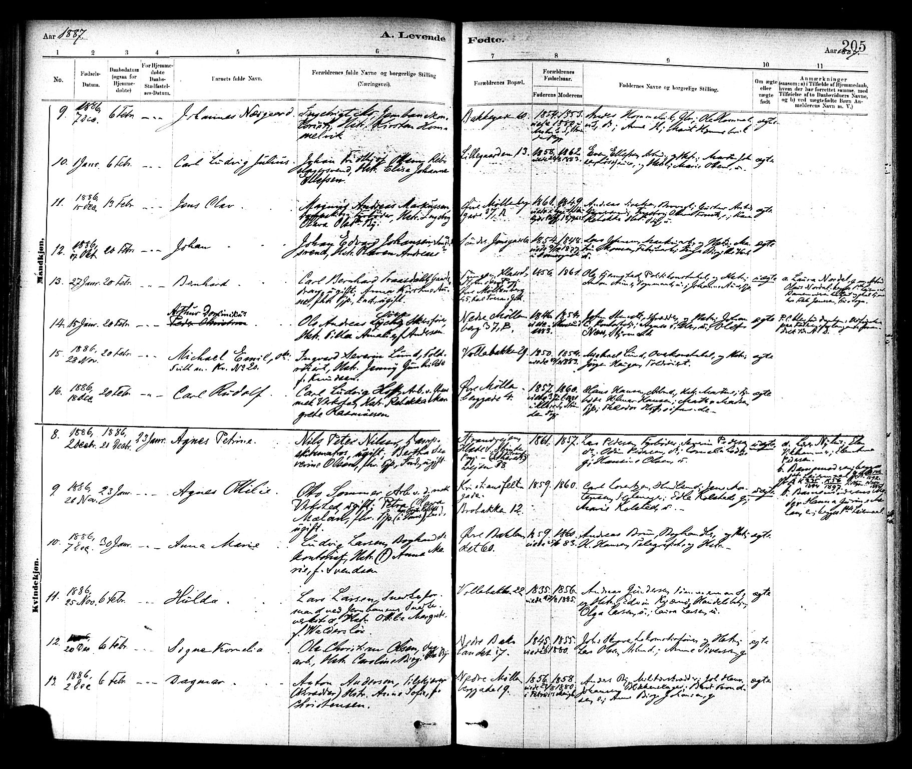 Ministerialprotokoller, klokkerbøker og fødselsregistre - Sør-Trøndelag, SAT/A-1456/604/L0188: Parish register (official) no. 604A09, 1878-1892, p. 205