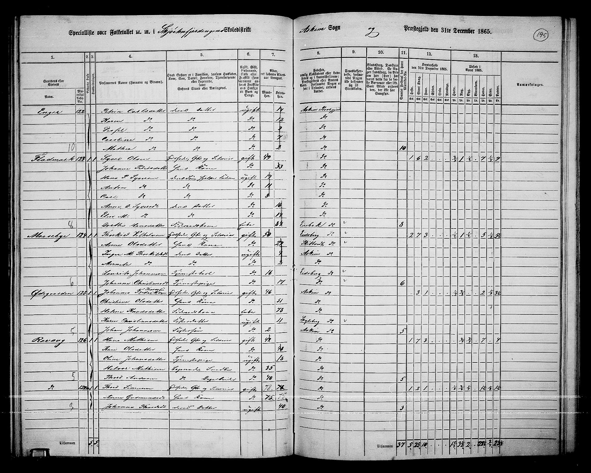 RA, 1865 census for Askim, 1865, p. 55