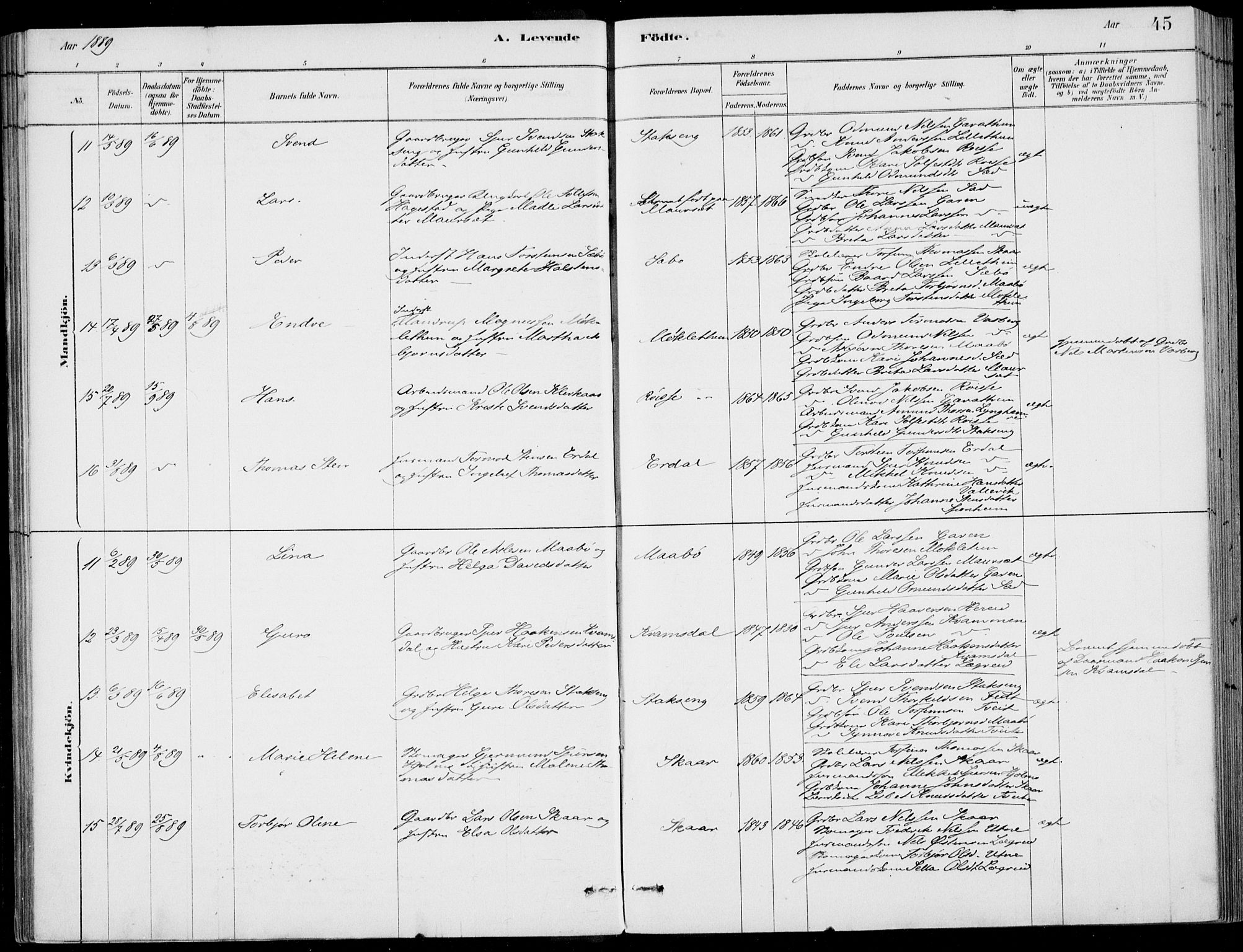 Ulvik sokneprestembete, AV/SAB-A-78801/H/Haa: Parish register (official) no. D  1, 1878-1903, p. 45