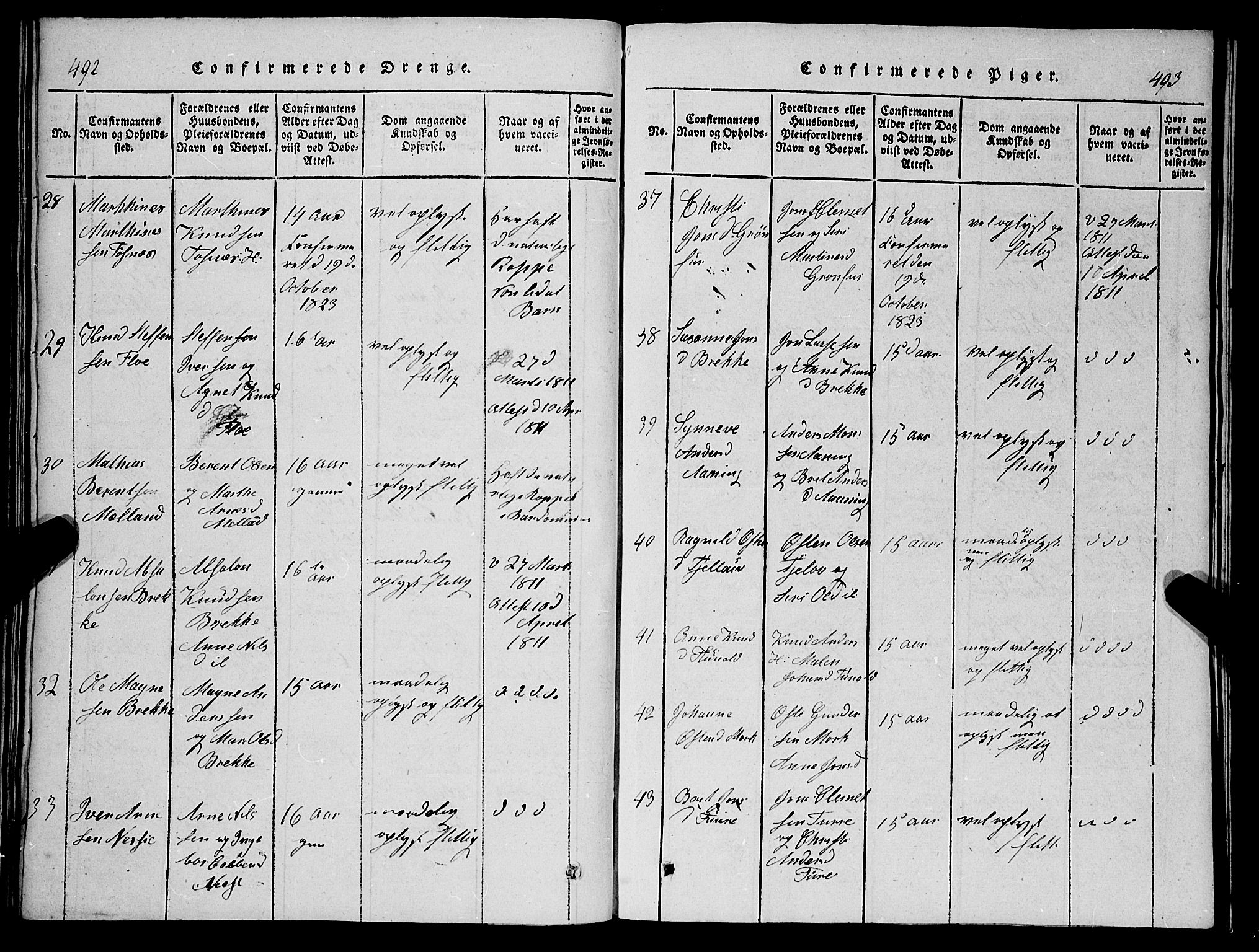 Stryn Sokneprestembete, SAB/A-82501: Parish register (copy) no. C 1, 1801-1845, p. 492-493