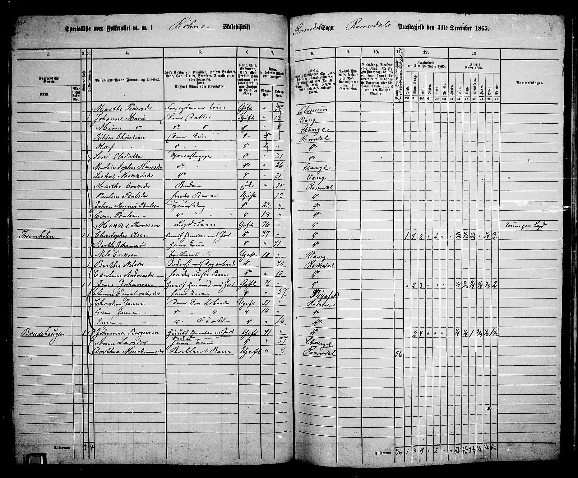 RA, 1865 census for Romedal, 1865, p. 62