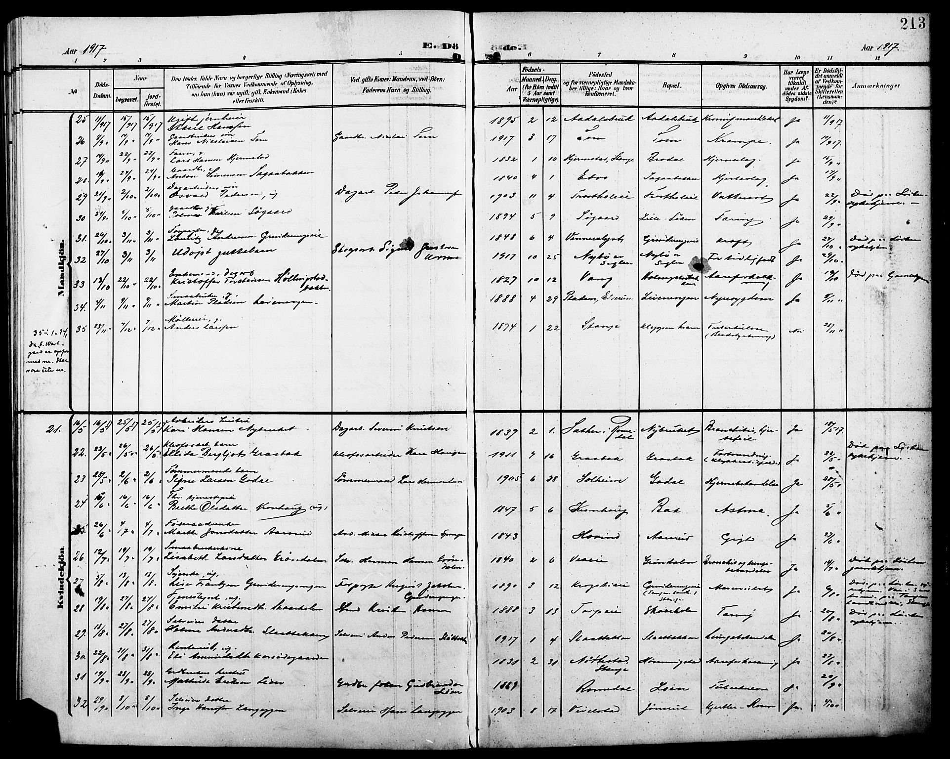 Løten prestekontor, SAH/PREST-022/L/La/L0007: Parish register (copy) no. 7, 1910-1919, p. 213