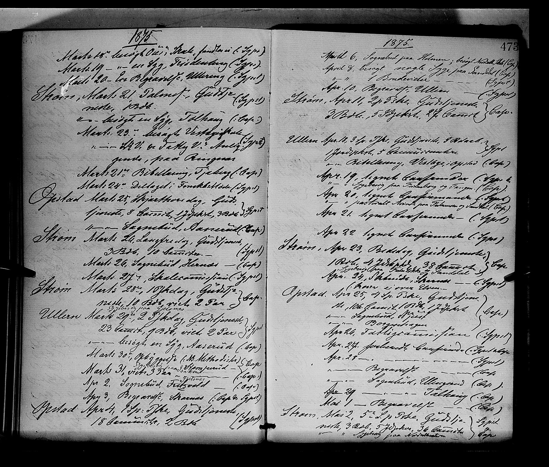 Sør-Odal prestekontor, AV/SAH-PREST-030/H/Ha/Haa/L0004: Parish register (official) no. 4, 1870-1875, p. 473