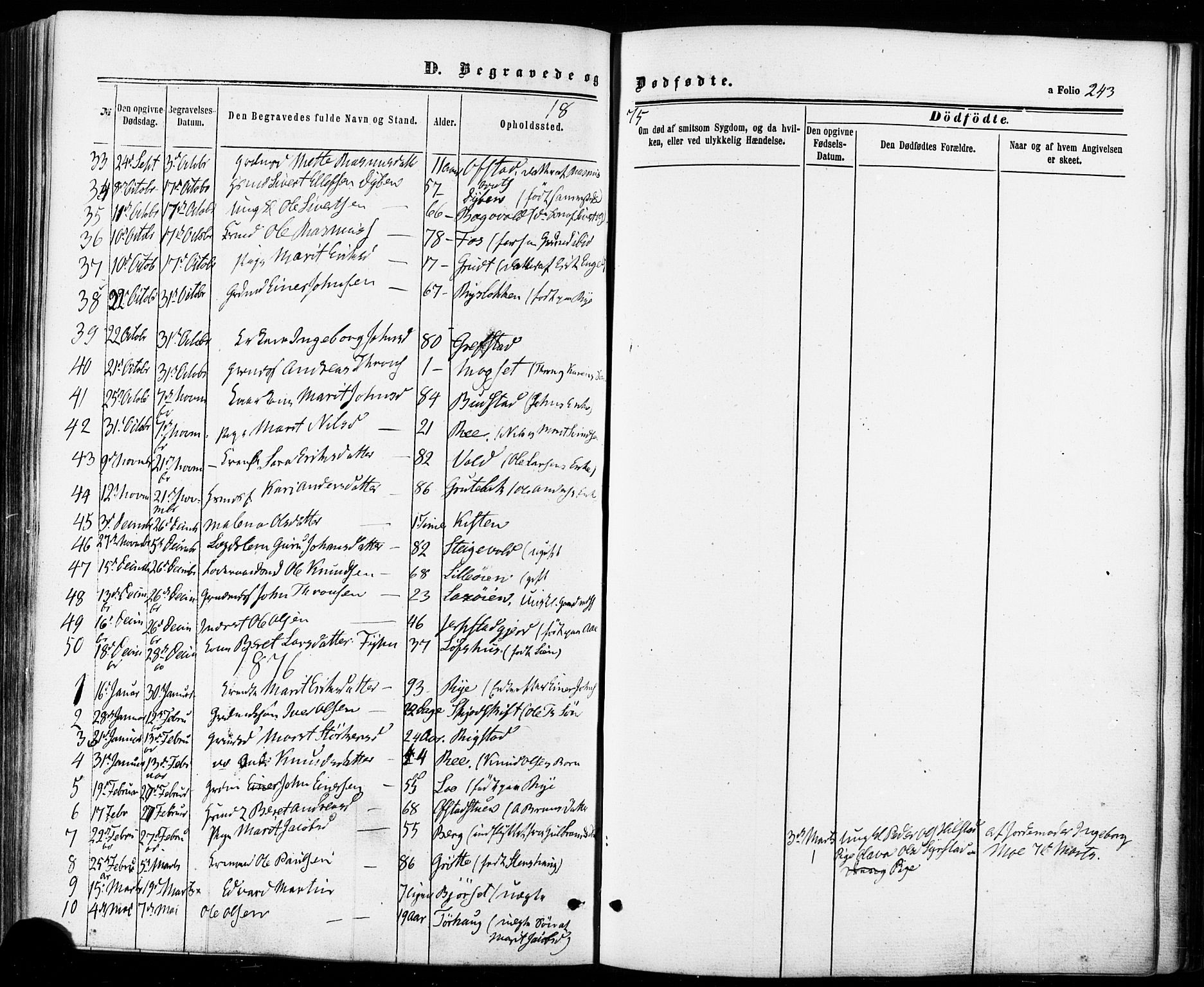 Ministerialprotokoller, klokkerbøker og fødselsregistre - Sør-Trøndelag, SAT/A-1456/672/L0856: Parish register (official) no. 672A08, 1861-1881, p. 243