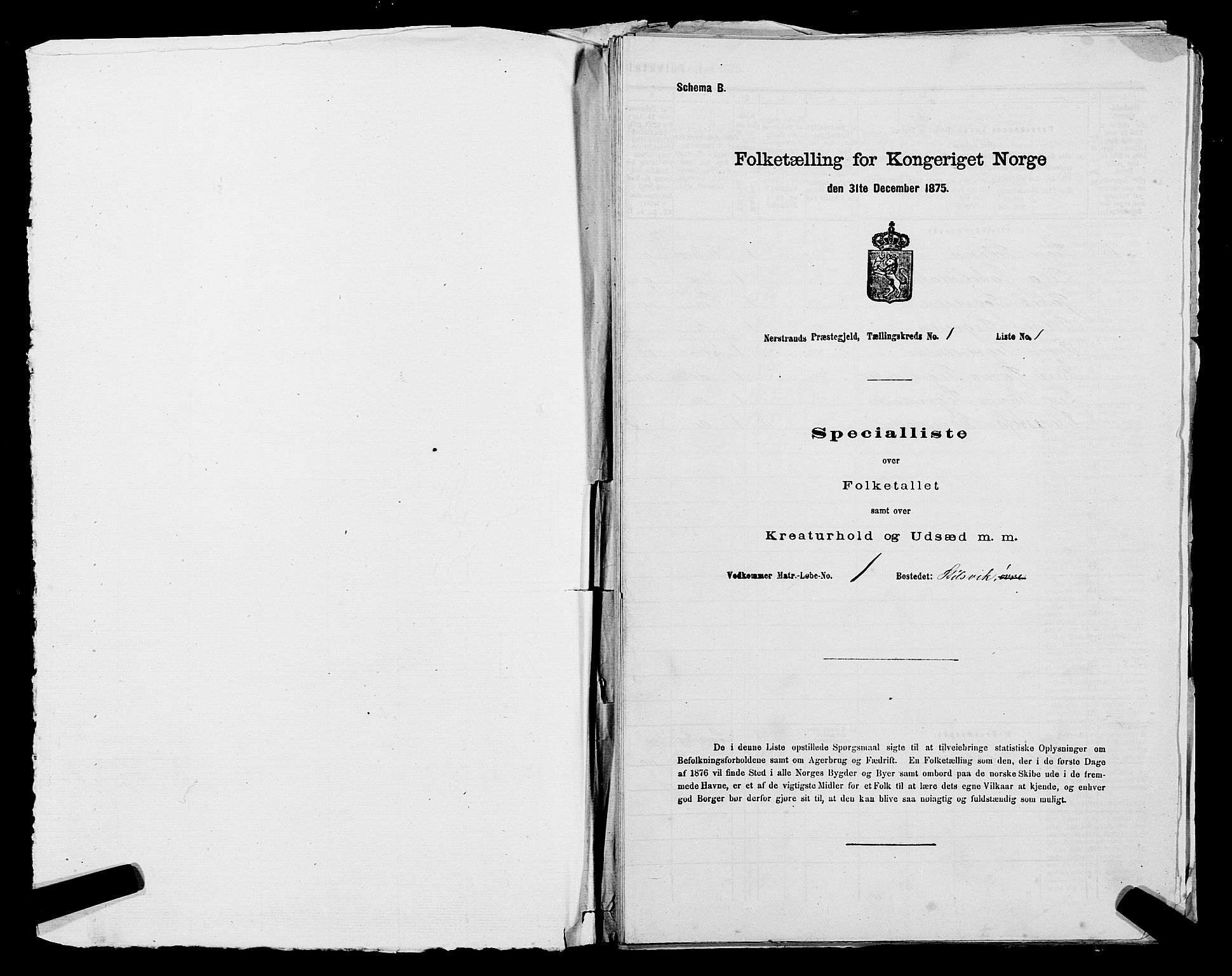 SAST, 1875 census for 1139P Nedstrand, 1875, p. 46