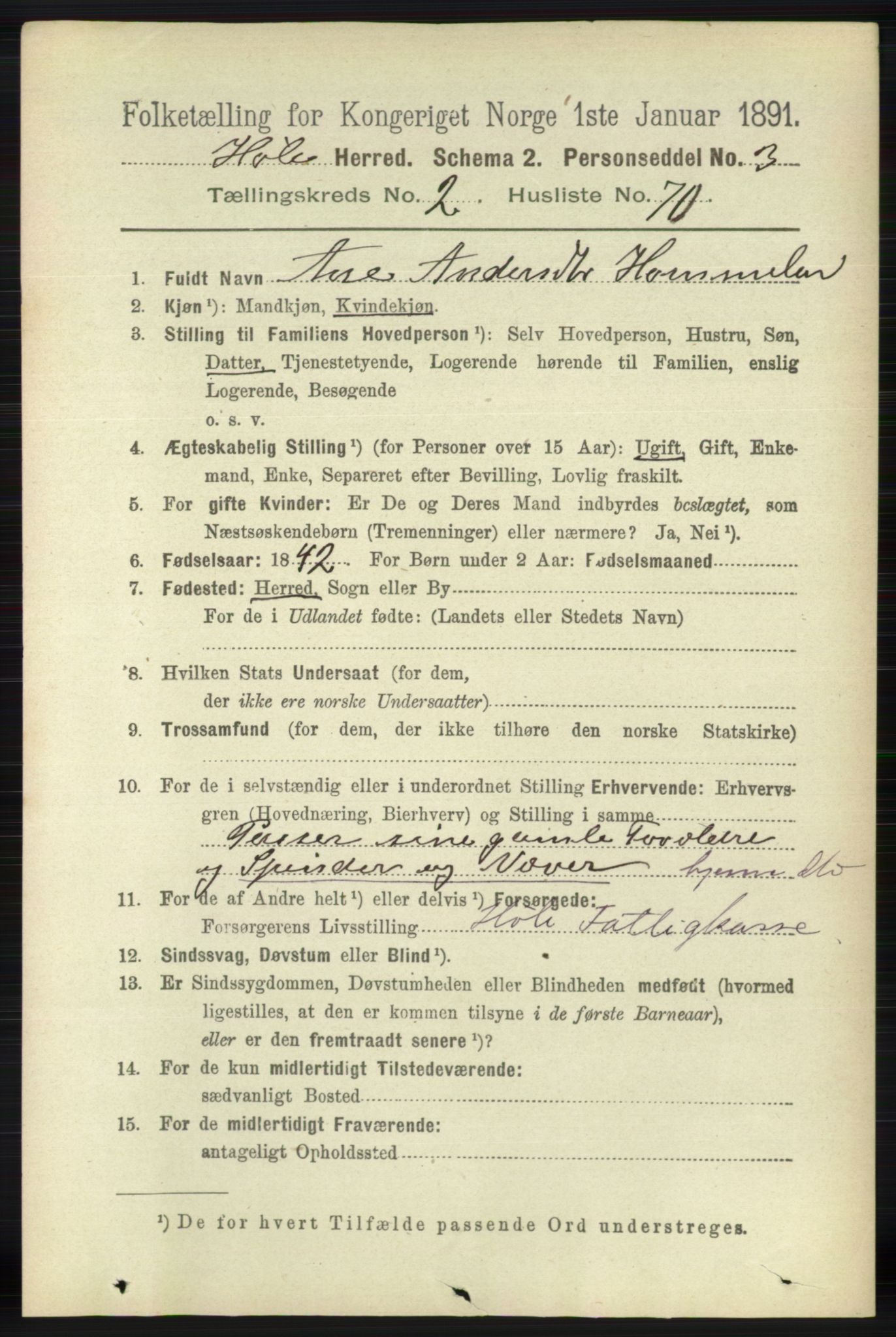 RA, 1891 census for 1128 Høle, 1891, p. 618