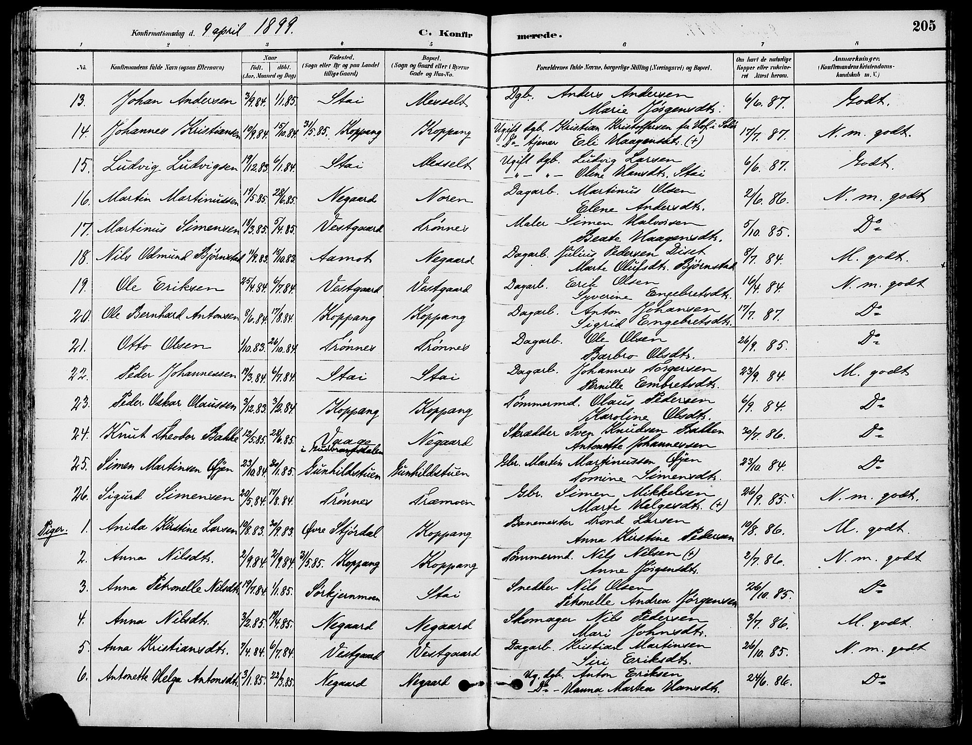 Stor-Elvdal prestekontor, SAH/PREST-052/H/Ha/Haa/L0002: Parish register (official) no. 2, 1882-1907, p. 205