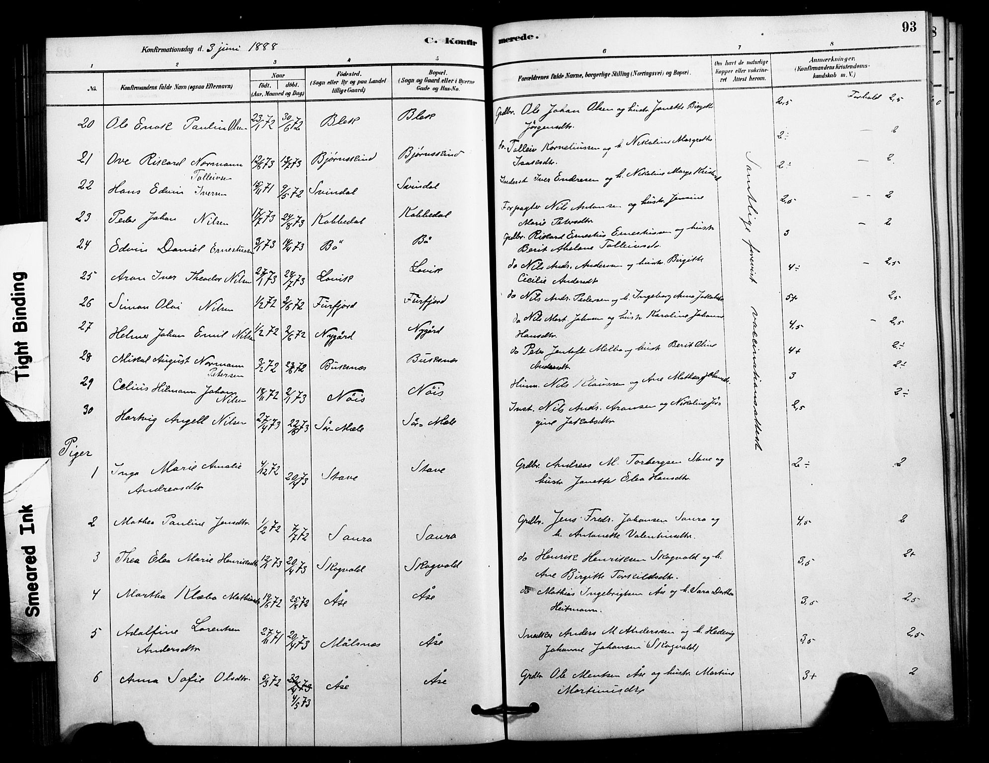 Ministerialprotokoller, klokkerbøker og fødselsregistre - Nordland, AV/SAT-A-1459/897/L1399: Parish register (official) no. 897C06, 1881-1896, p. 93