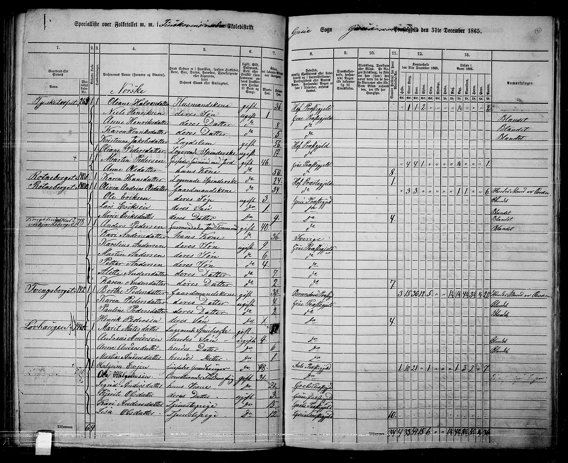 RA, 1865 census for Grue, 1865, p. 157