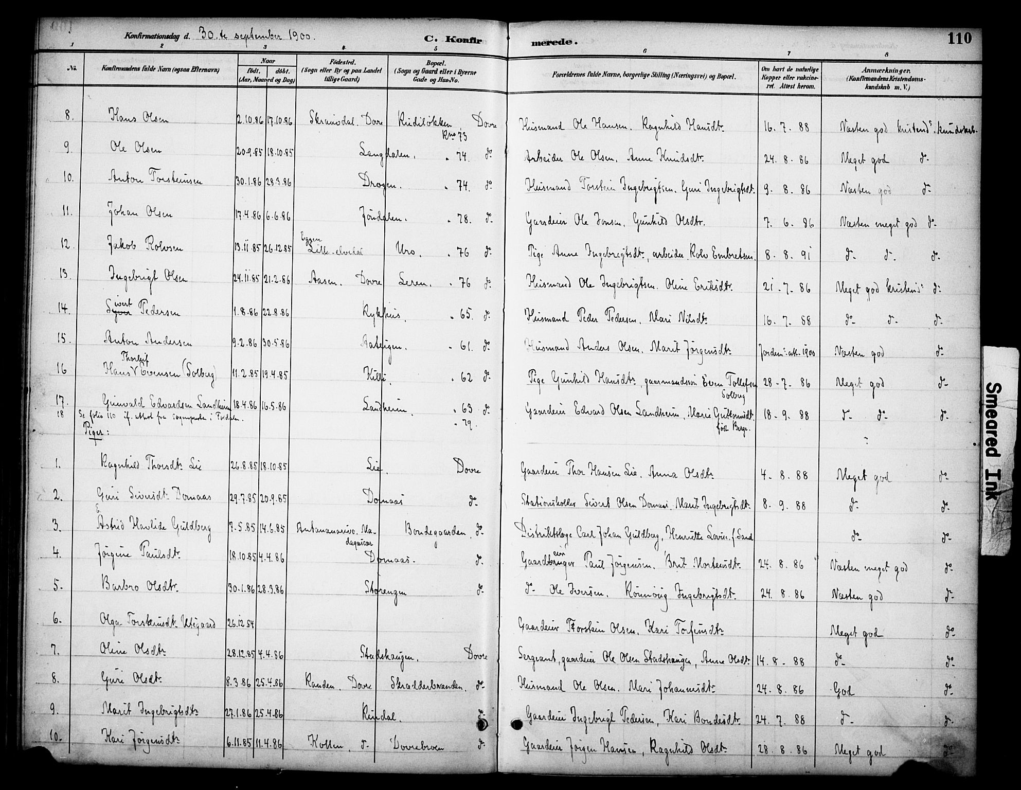 Dovre prestekontor, AV/SAH-PREST-066/H/Ha/Haa/L0003: Parish register (official) no. 3, 1891-1901, p. 110