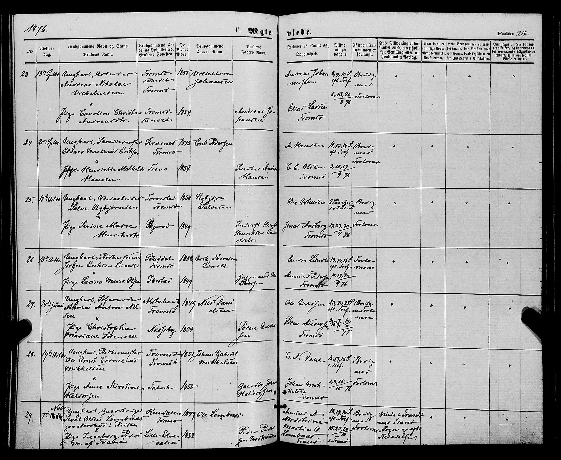 Tromsø sokneprestkontor/stiftsprosti/domprosti, AV/SATØ-S-1343/G/Ga/L0013kirke: Parish register (official) no. 13, 1872-1877, p. 217