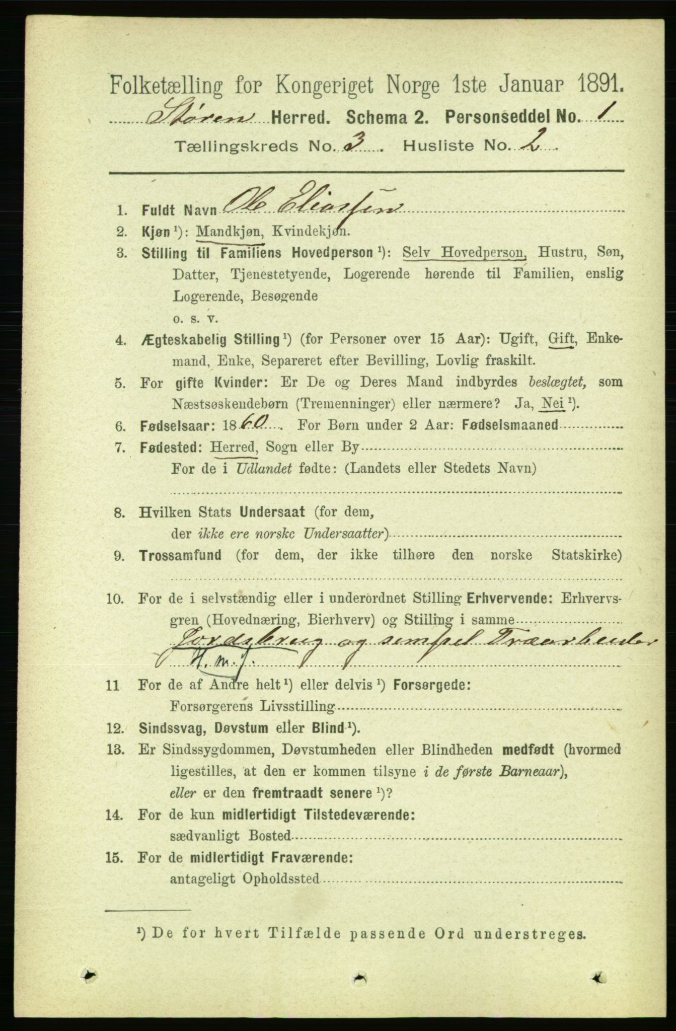 RA, 1891 census for 1648 Støren, 1891, p. 796