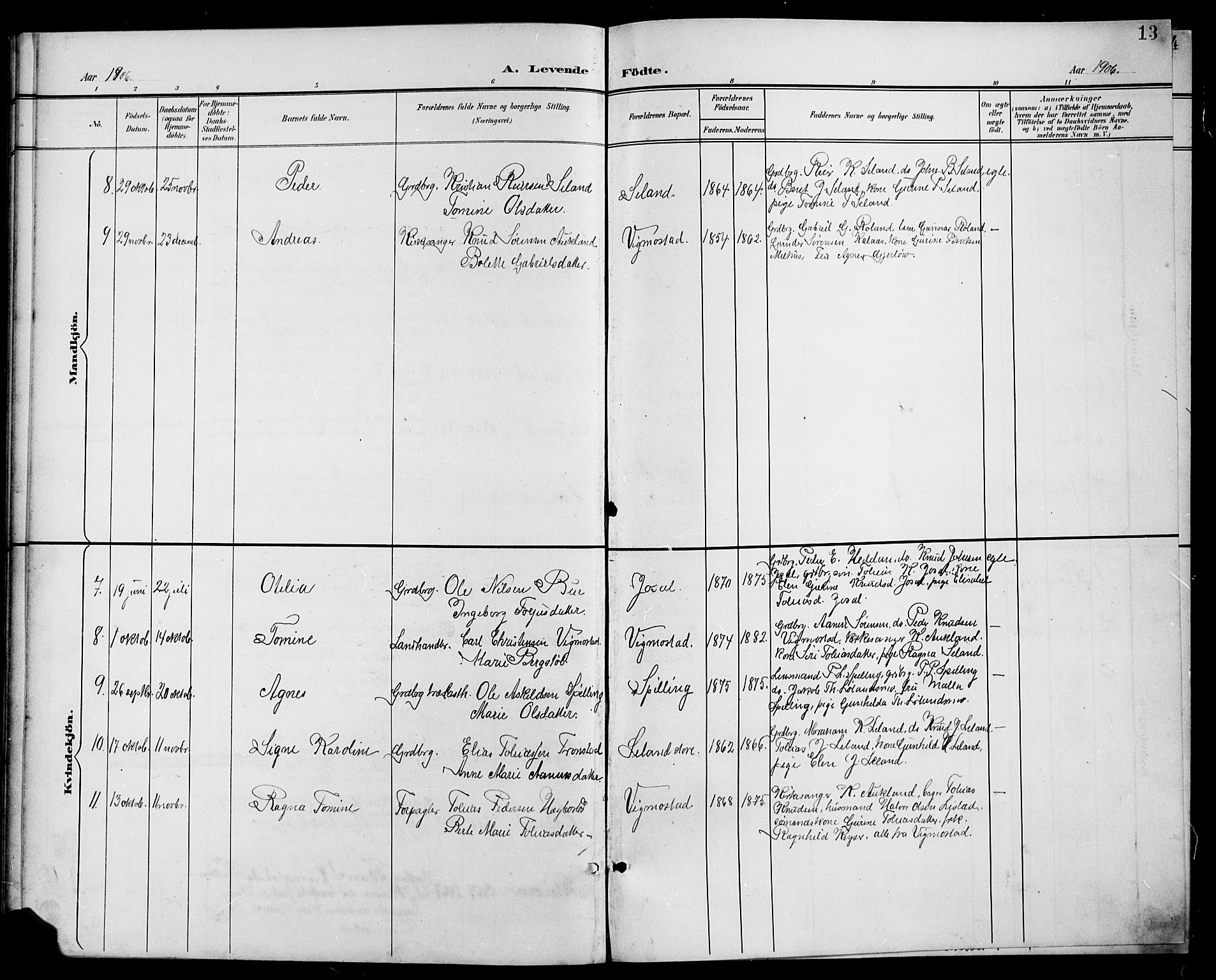 Nord-Audnedal sokneprestkontor, SAK/1111-0032/F/Fb/Fbb/L0004: Parish register (copy) no. B 4, 1901-1917, p. 13