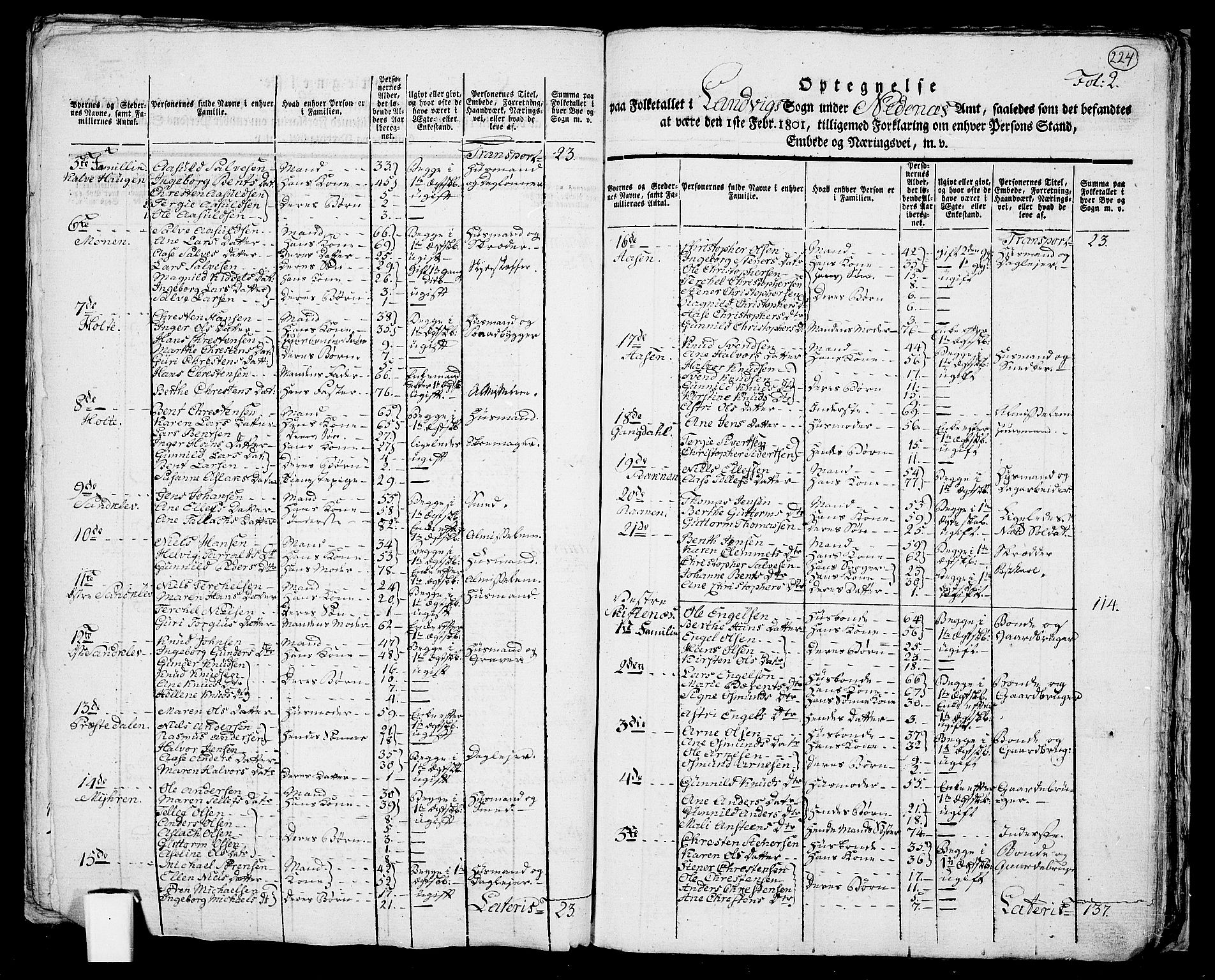 RA, 1801 census for 0924P Homedal, 1801, p. 223b-224a