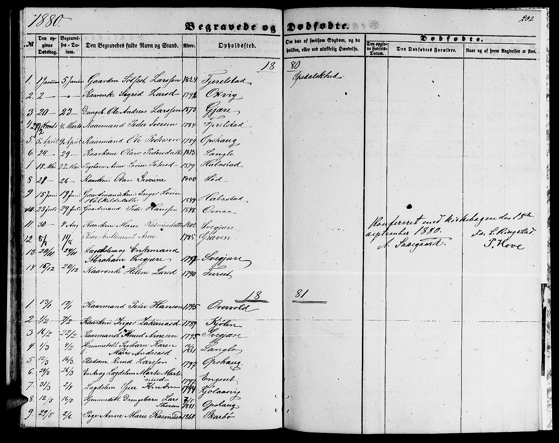 Ministerialprotokoller, klokkerbøker og fødselsregistre - Møre og Romsdal, AV/SAT-A-1454/520/L0291: Parish register (copy) no. 520C03, 1854-1881, p. 202