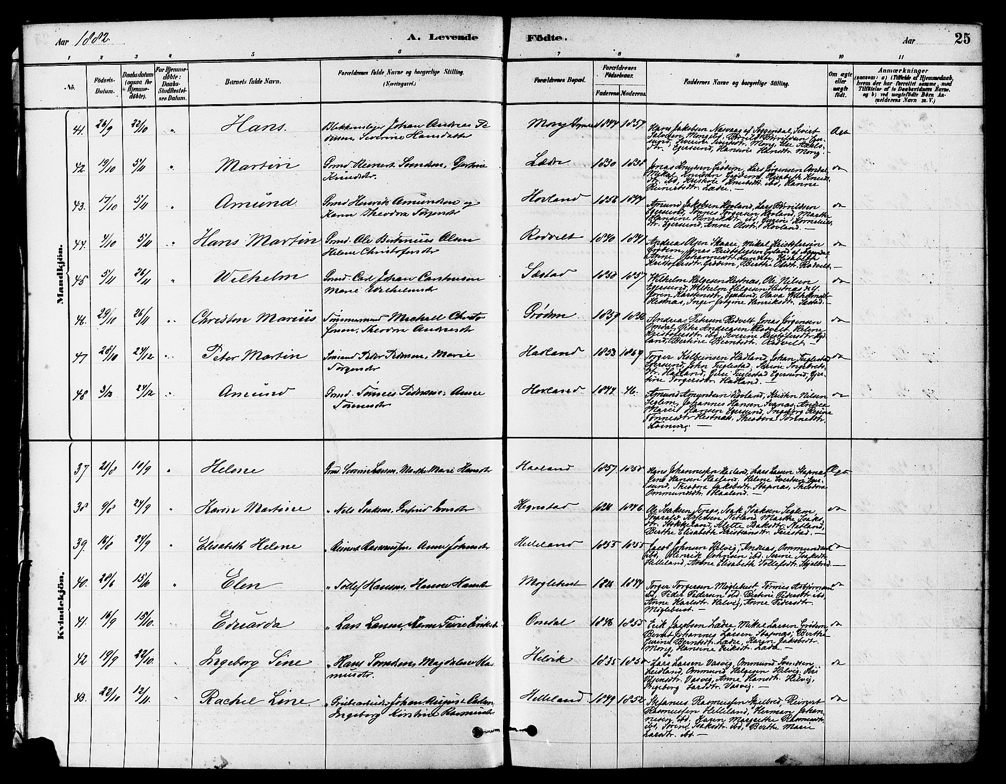 Eigersund sokneprestkontor, AV/SAST-A-101807/S08/L0017: Parish register (official) no. A 14, 1879-1892, p. 25