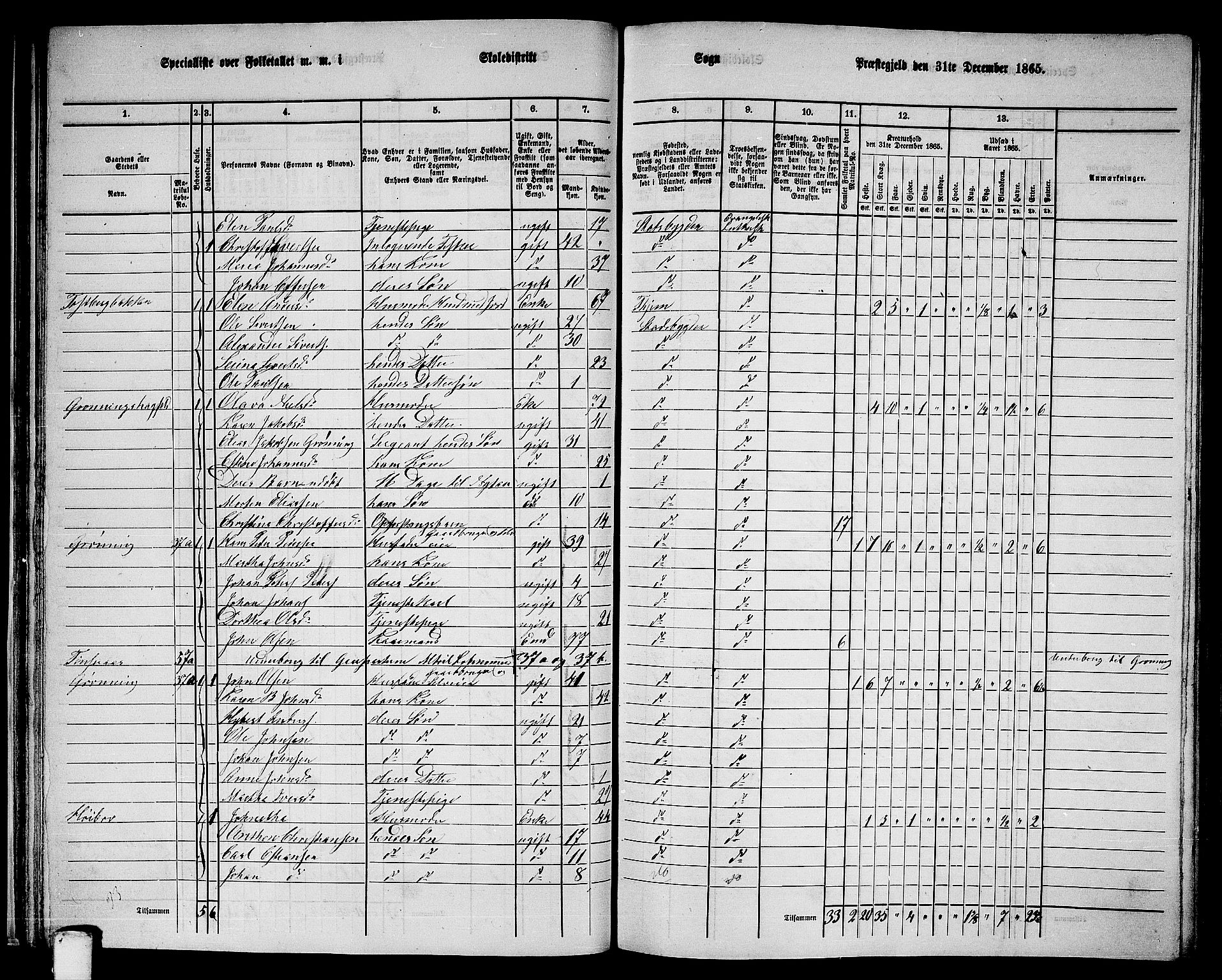 RA, 1865 census for Stadsbygd, 1865, p. 34