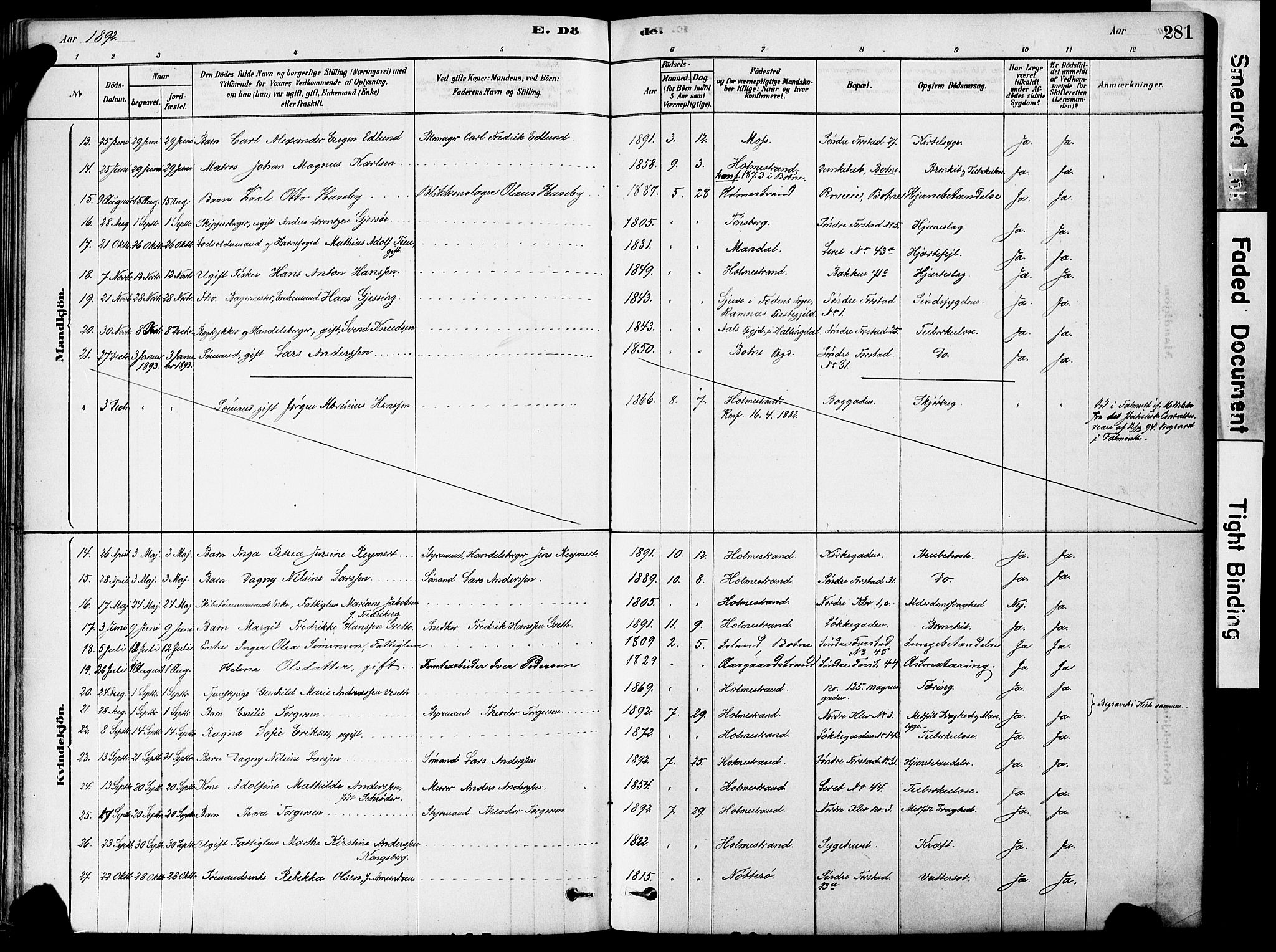 Holmestrand kirkebøker, AV/SAKO-A-346/F/Fa/L0004: Parish register (official) no. 4, 1880-1901, p. 281