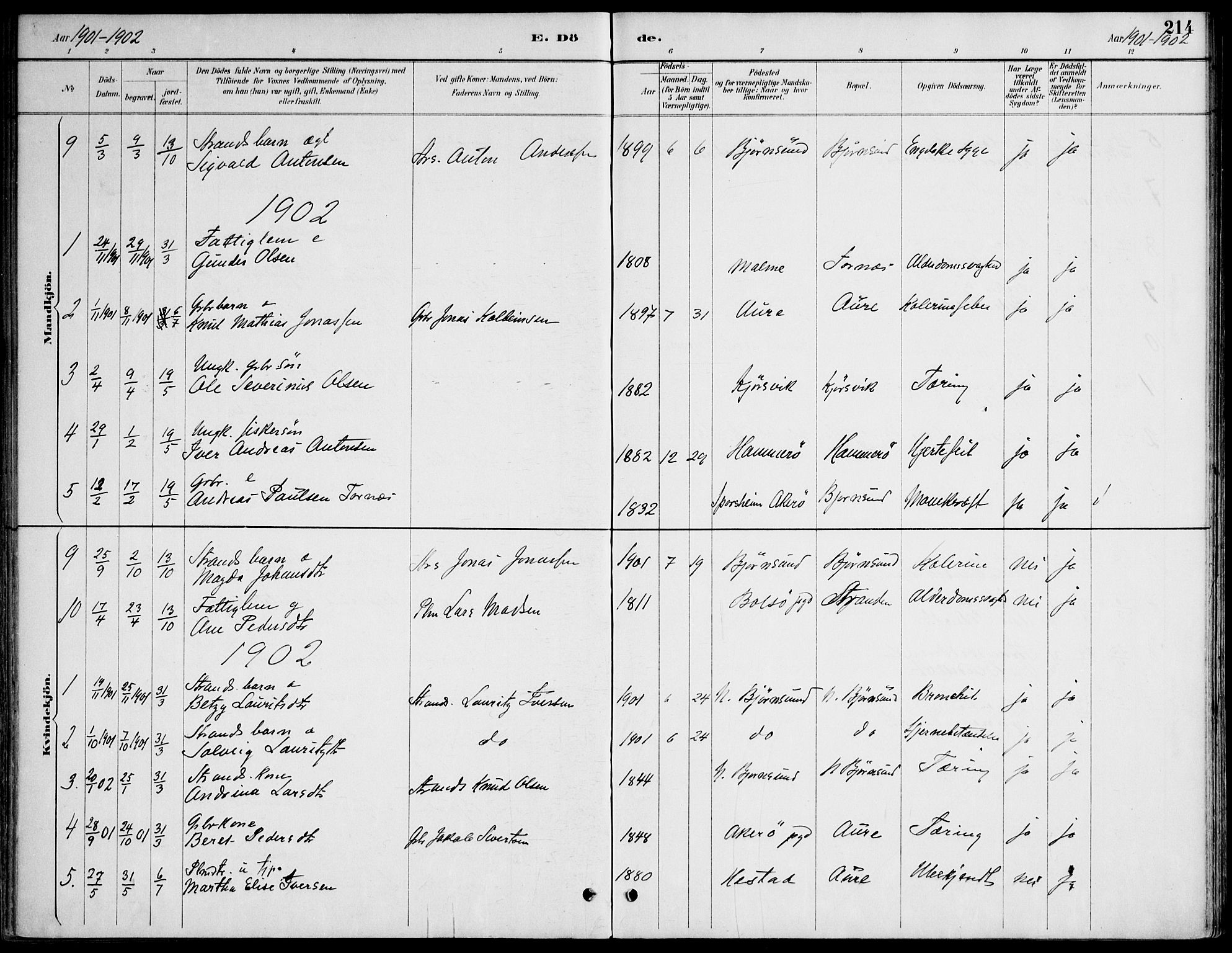 Ministerialprotokoller, klokkerbøker og fødselsregistre - Møre og Romsdal, AV/SAT-A-1454/565/L0750: Parish register (official) no. 565A04, 1887-1905, p. 214