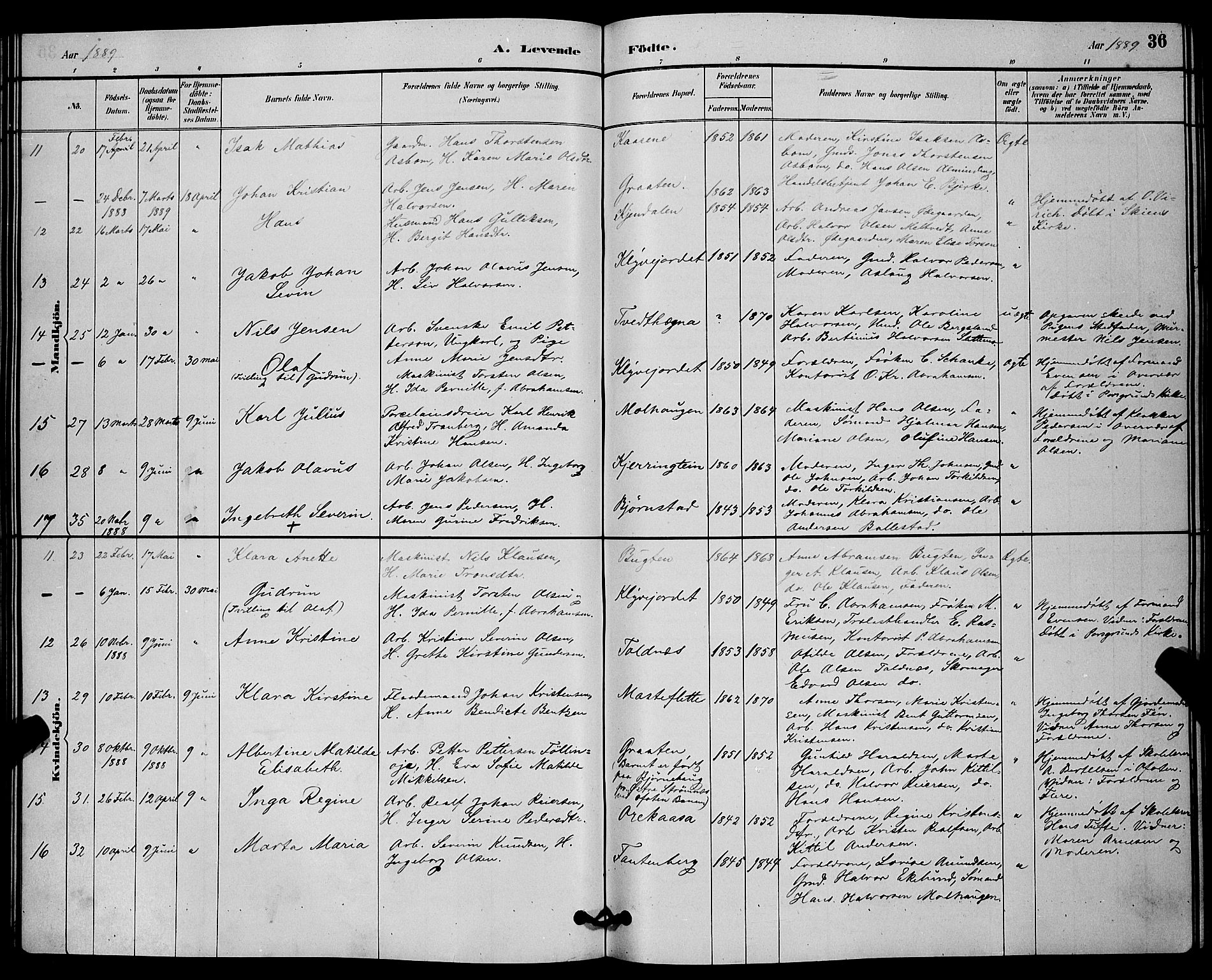 Solum kirkebøker, SAKO/A-306/G/Ga/L0007: Parish register (copy) no. I 7, 1884-1898, p. 36