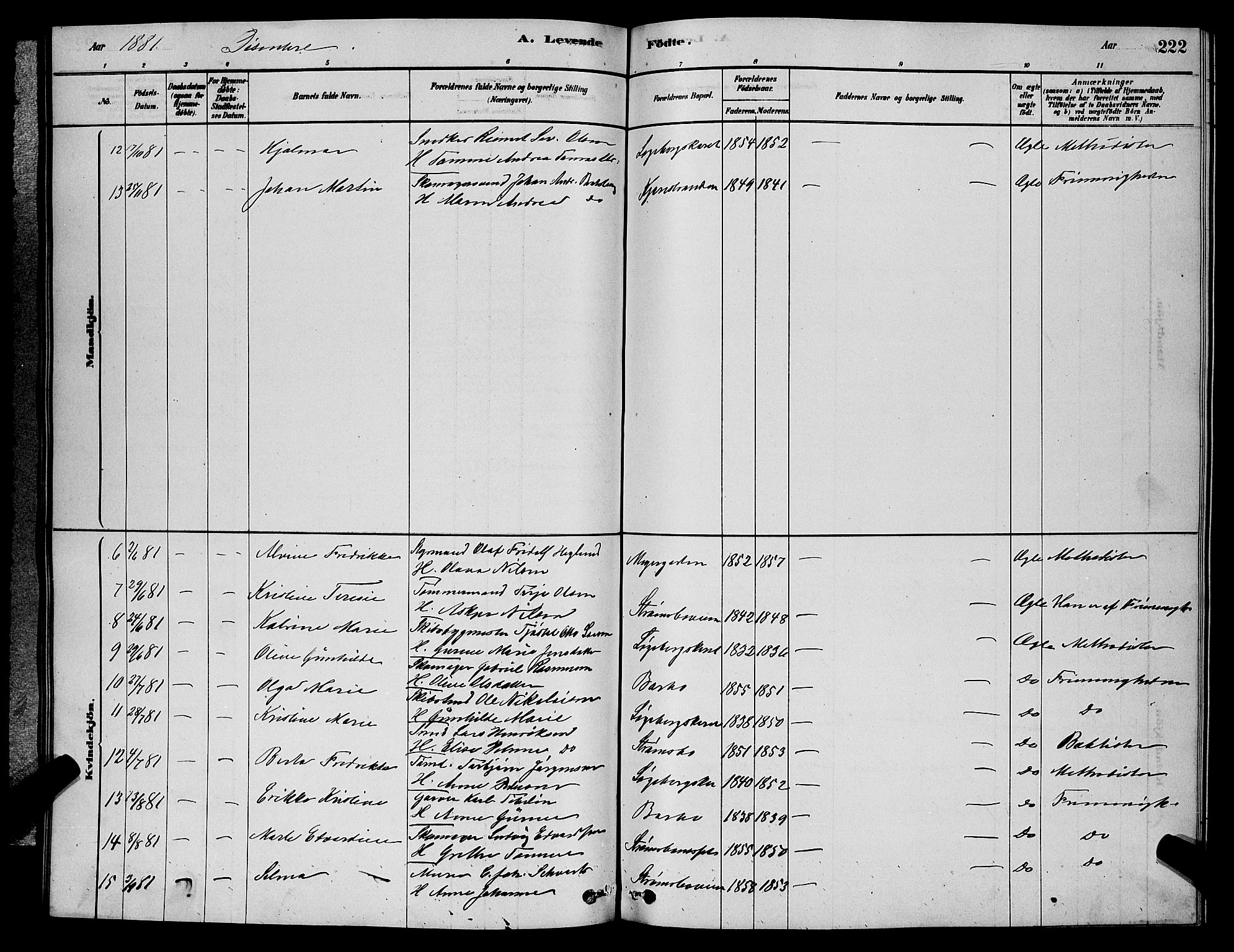 Barbu sokneprestkontor, AV/SAK-1111-0003/F/Fb/L0001: Parish register (copy) no. B 1, 1878-1890, p. 222