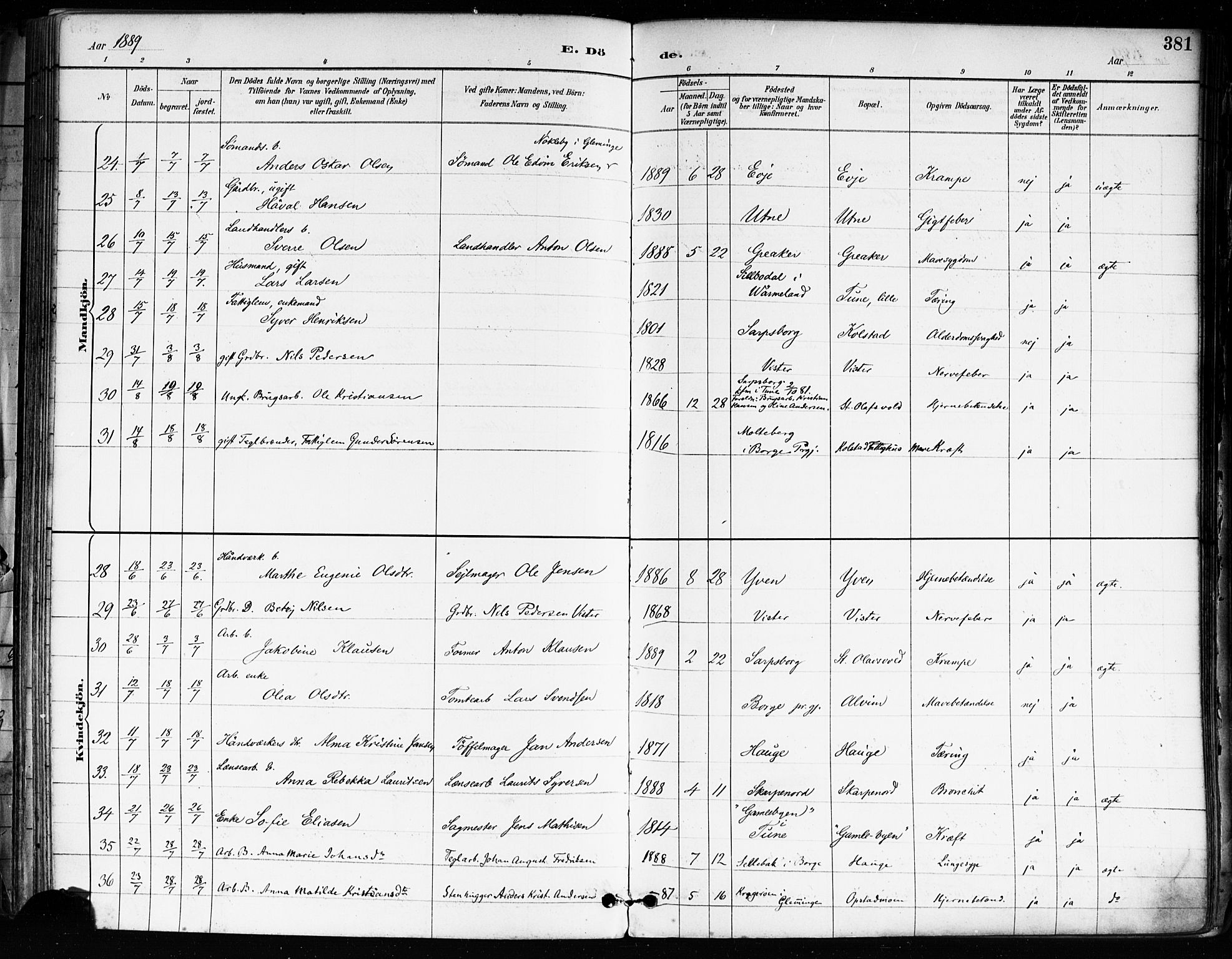 Tune prestekontor Kirkebøker, AV/SAO-A-2007/F/Fa/L0018: Parish register (official) no. 18, 1887-1898, p. 381