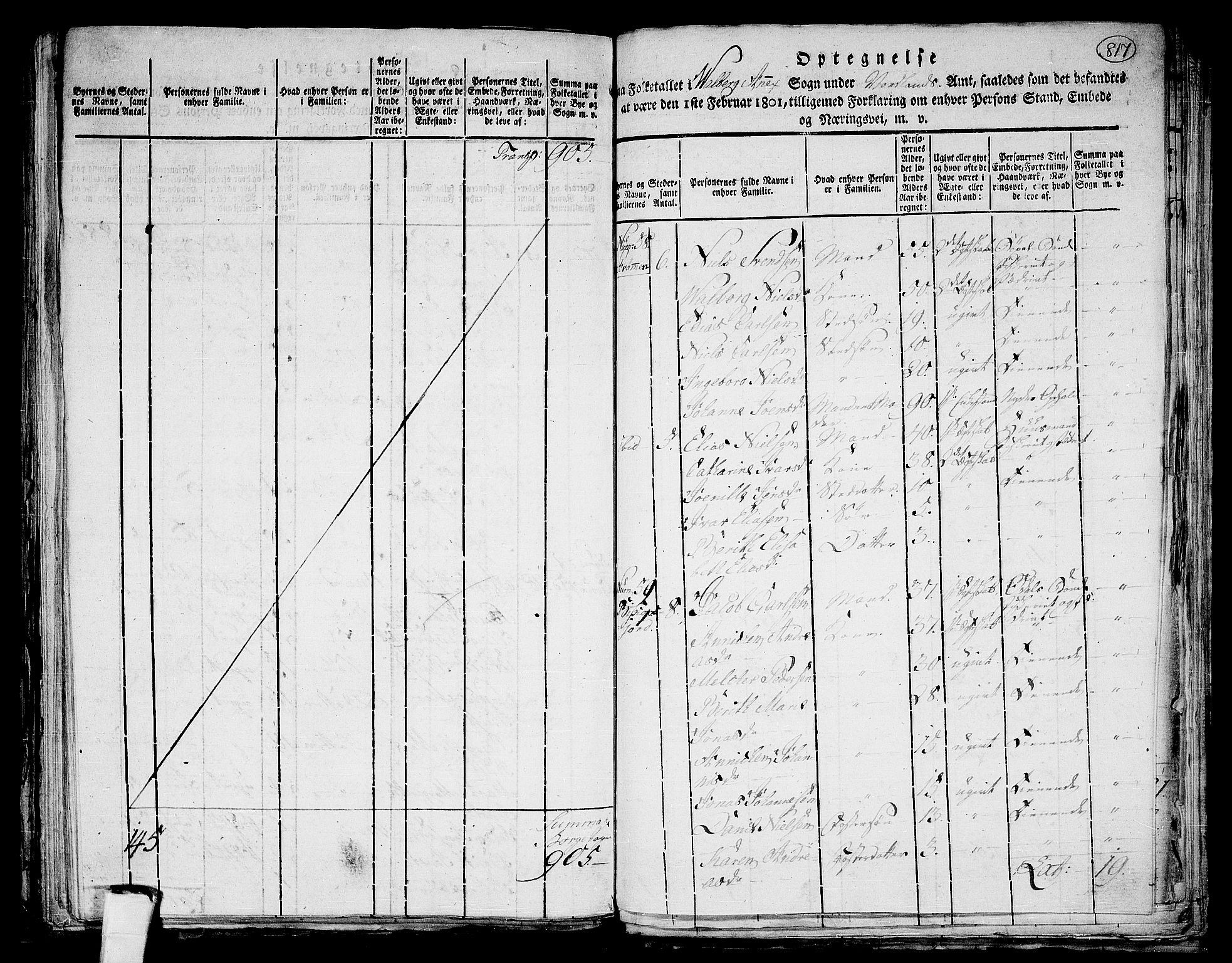 RA, 1801 census for 1862P Borge, 1801, p. 816b-817a