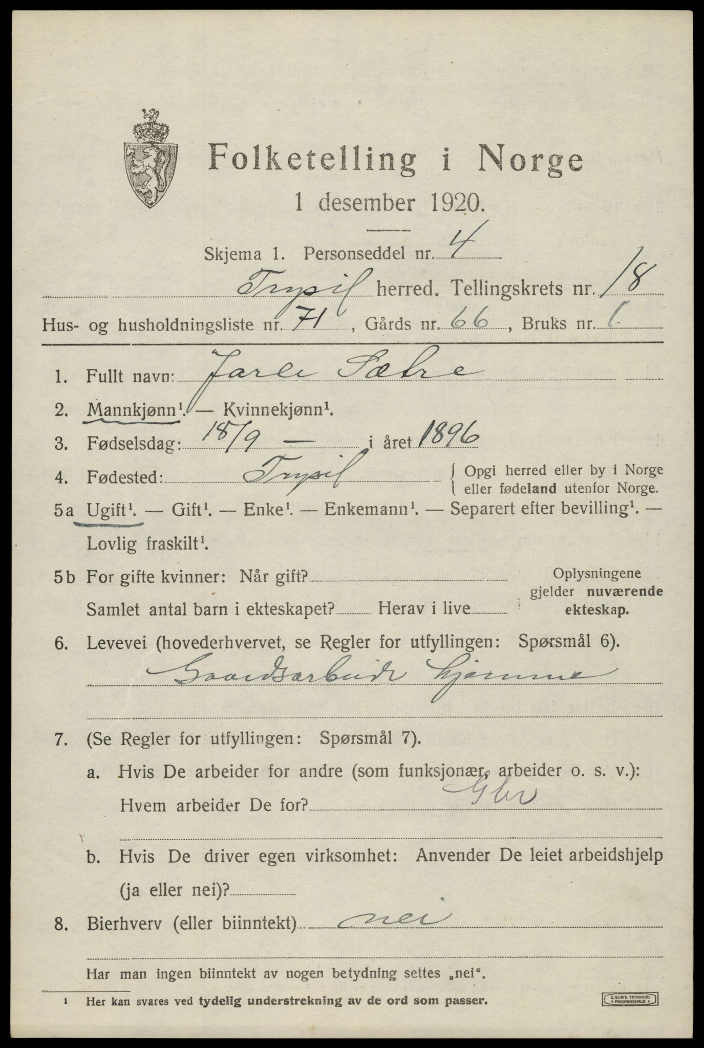 SAH, 1920 census for Trysil, 1920, p. 12623