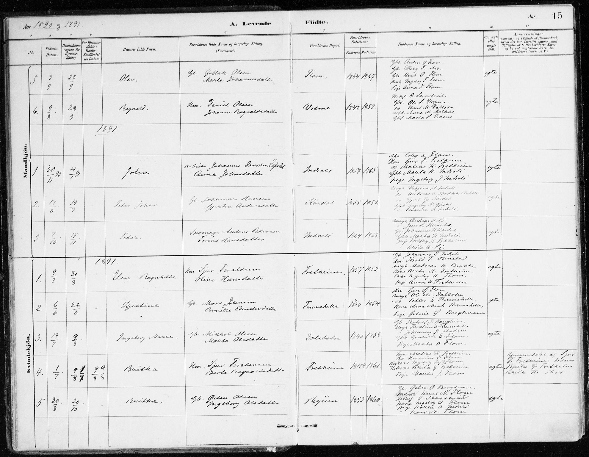 Aurland sokneprestembete, SAB/A-99937/H/Ha/Hac/L0001: Parish register (official) no. C 1, 1880-1921, p. 15