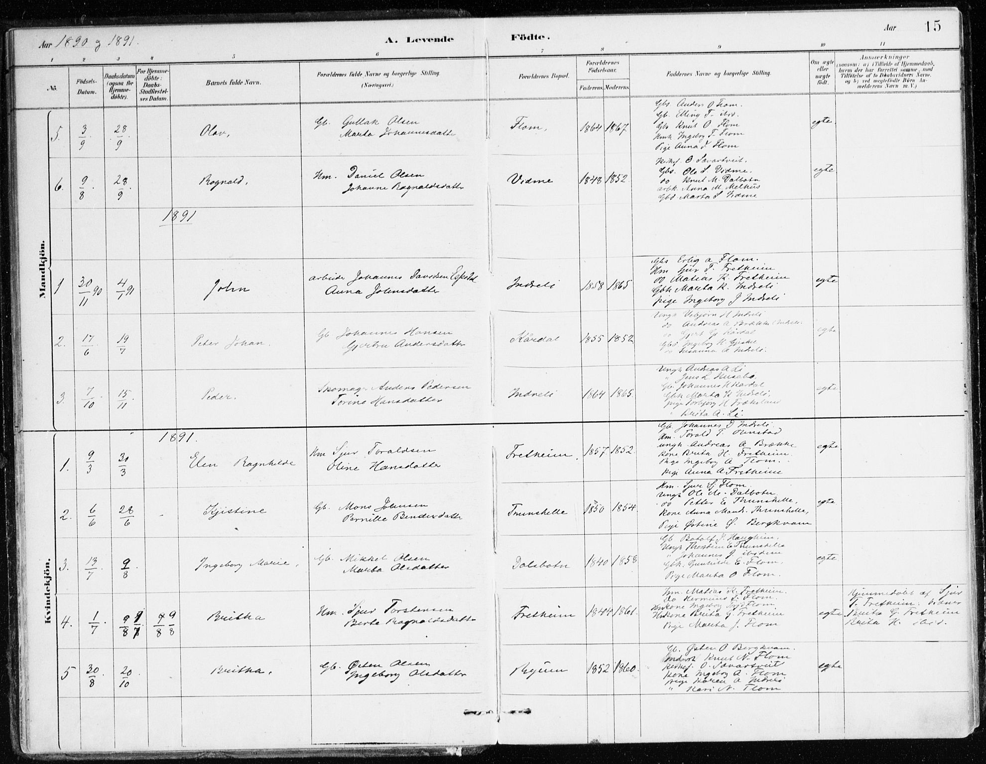 Aurland sokneprestembete, AV/SAB-A-99937/H/Ha/Hac/L0001: Parish register (official) no. C 1, 1880-1921, p. 15