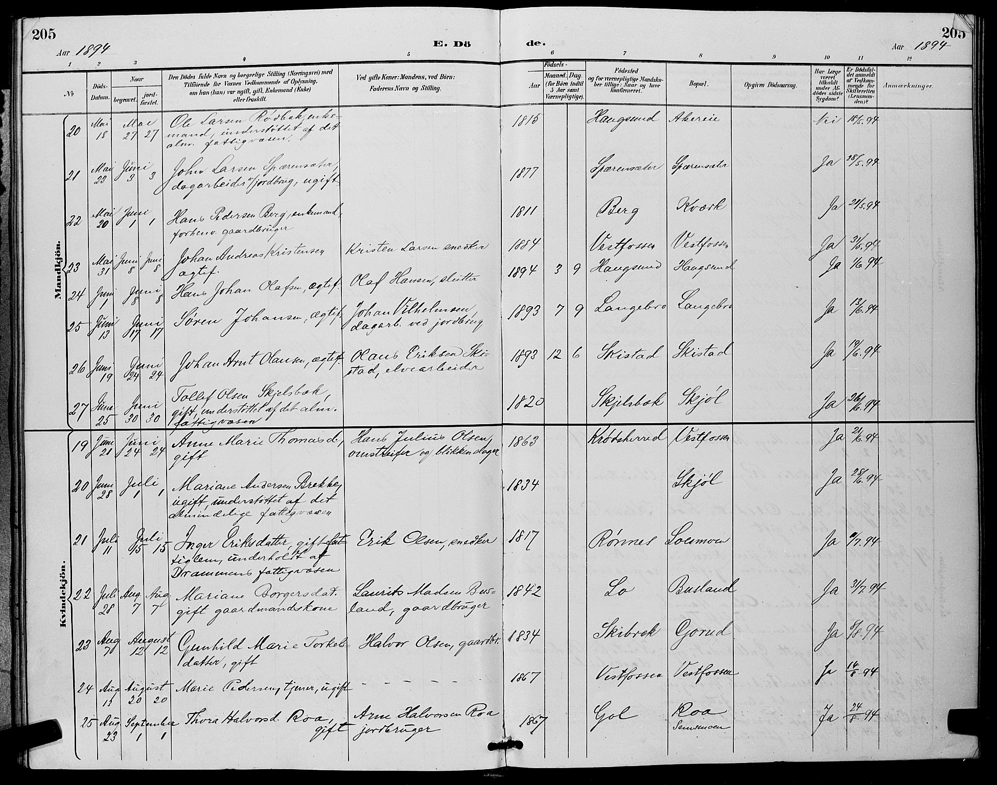 Eiker kirkebøker, AV/SAKO-A-4/G/Ga/L0007: Parish register (copy) no. I 7, 1893-1902, p. 205