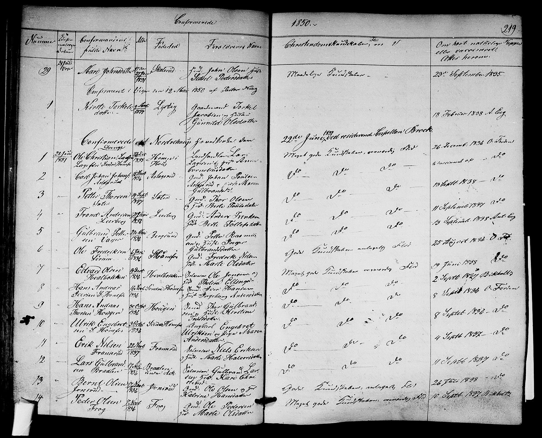 Norderhov kirkebøker, AV/SAKO-A-237/F/Fa/L0011: Parish register (official) no. 11, 1847-1856, p. 219